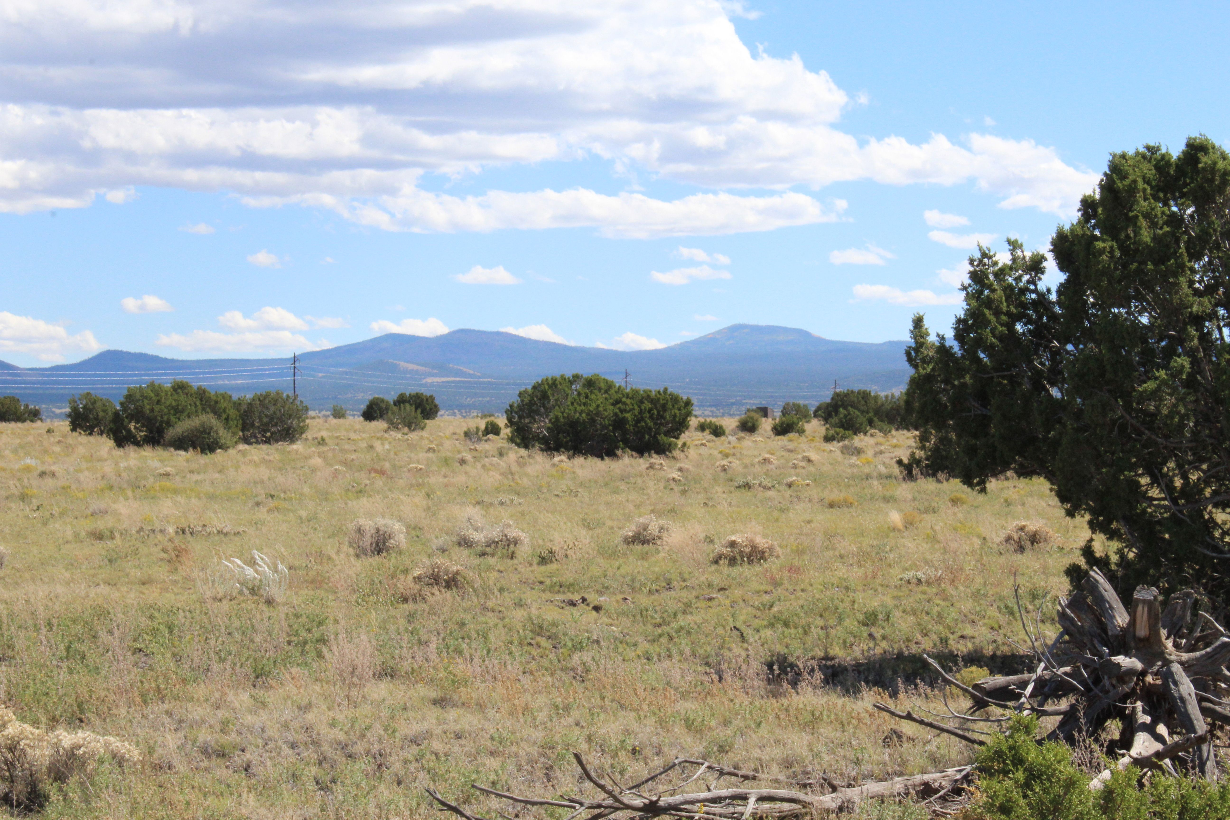 5 acres in Apache County, Arizona