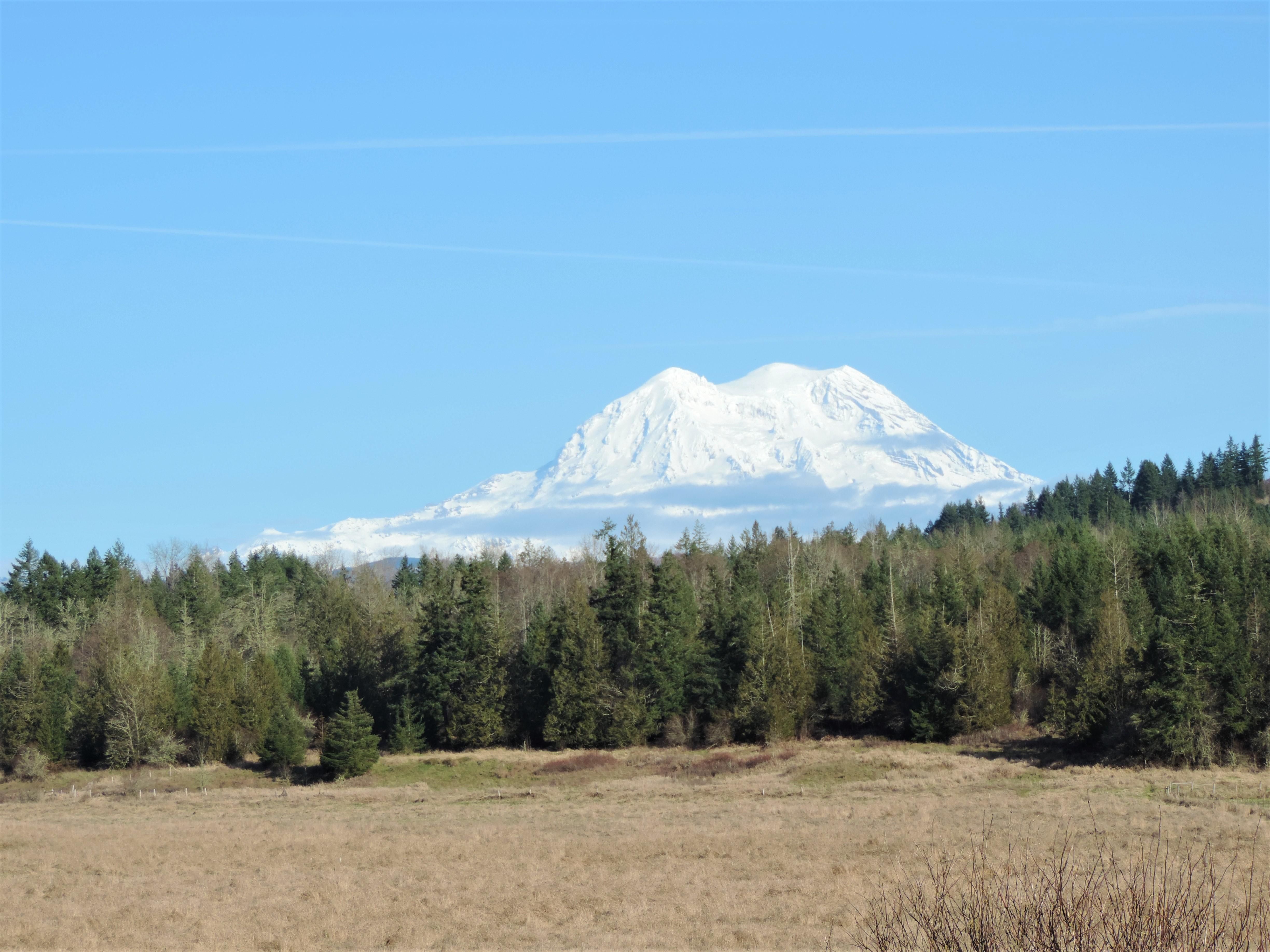 45.86 acres in Pierce County, Washington
