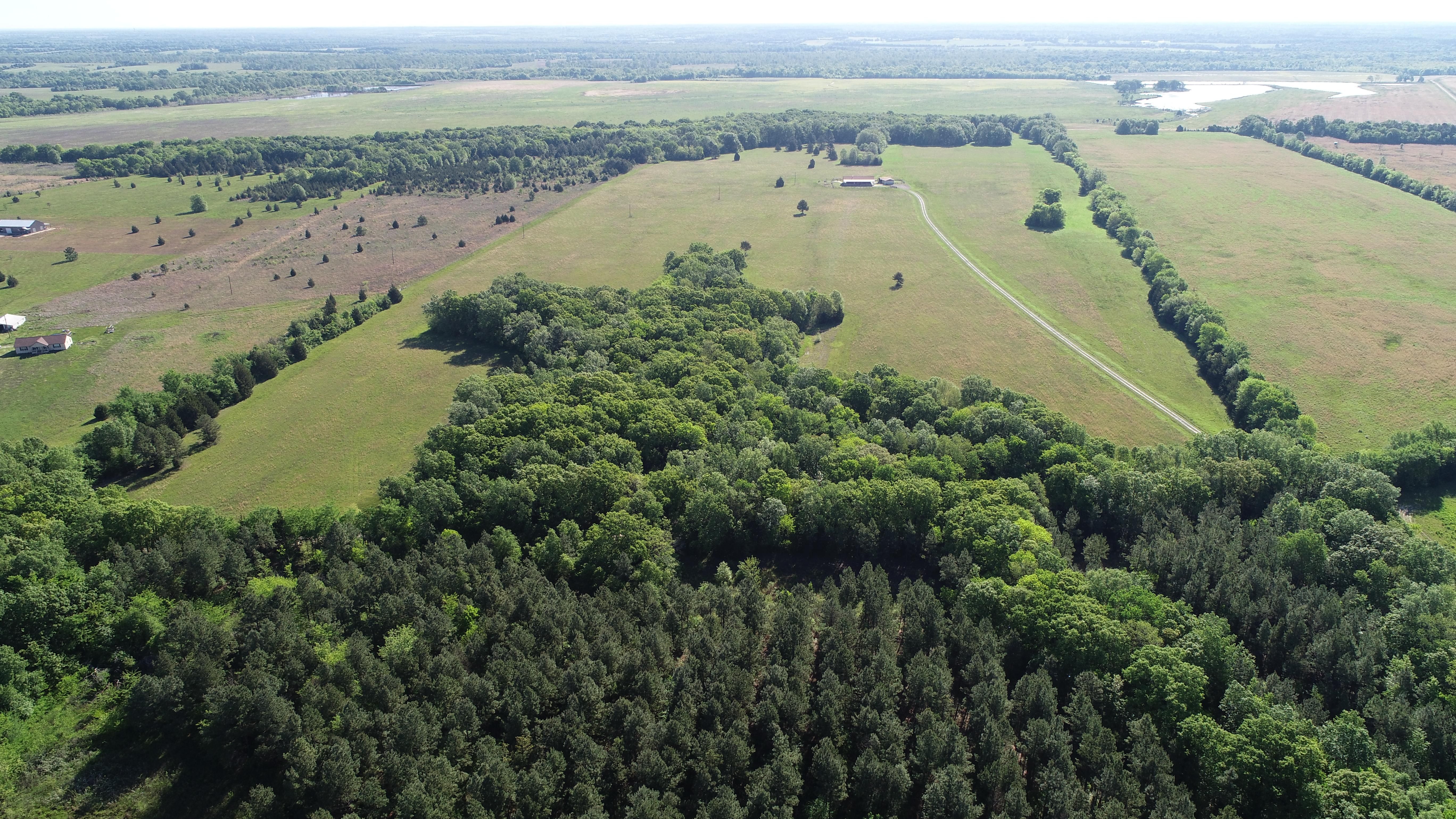 100 acres in Red River County, Texas