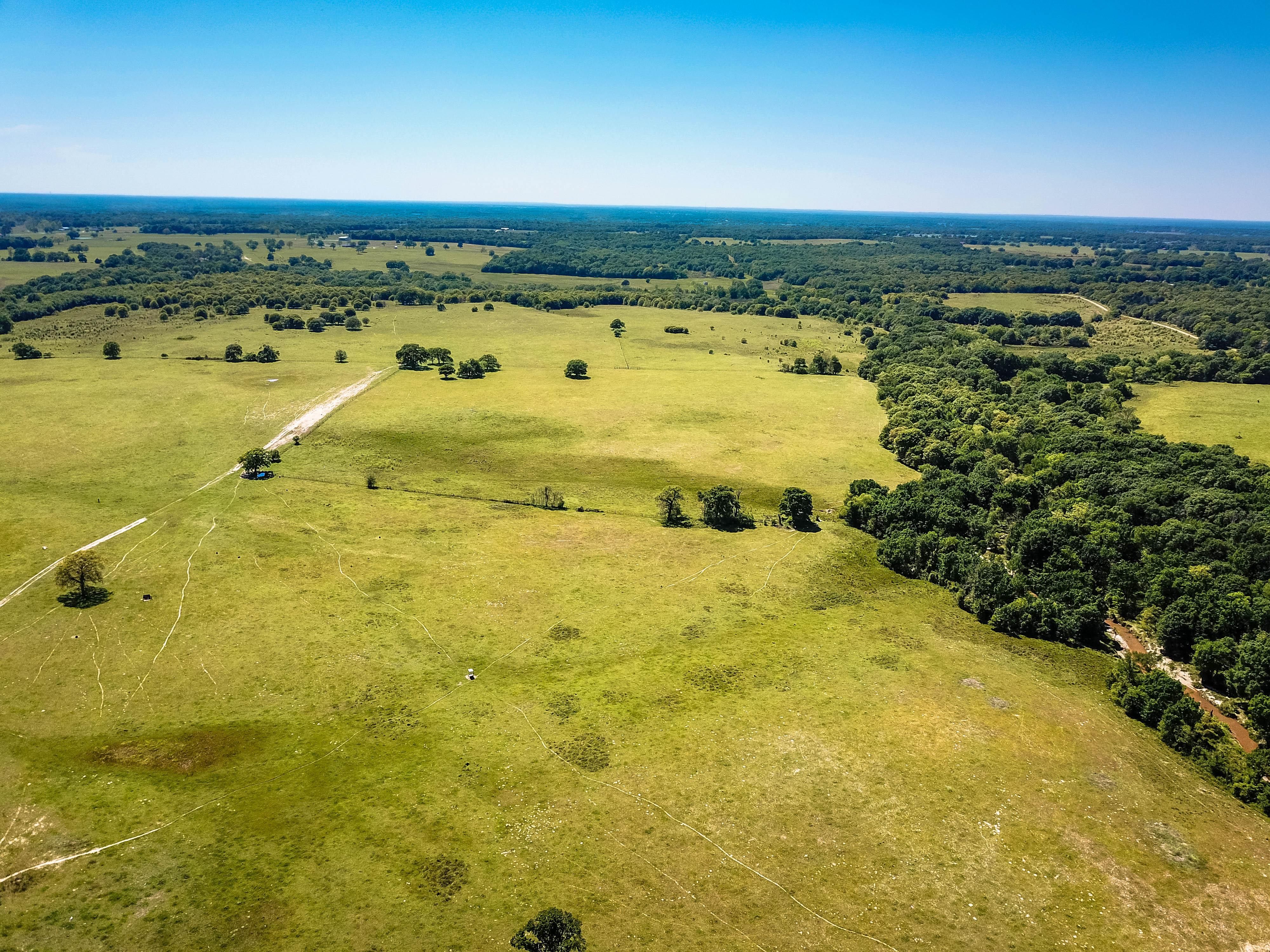 384 acres in Freestone County, Texas