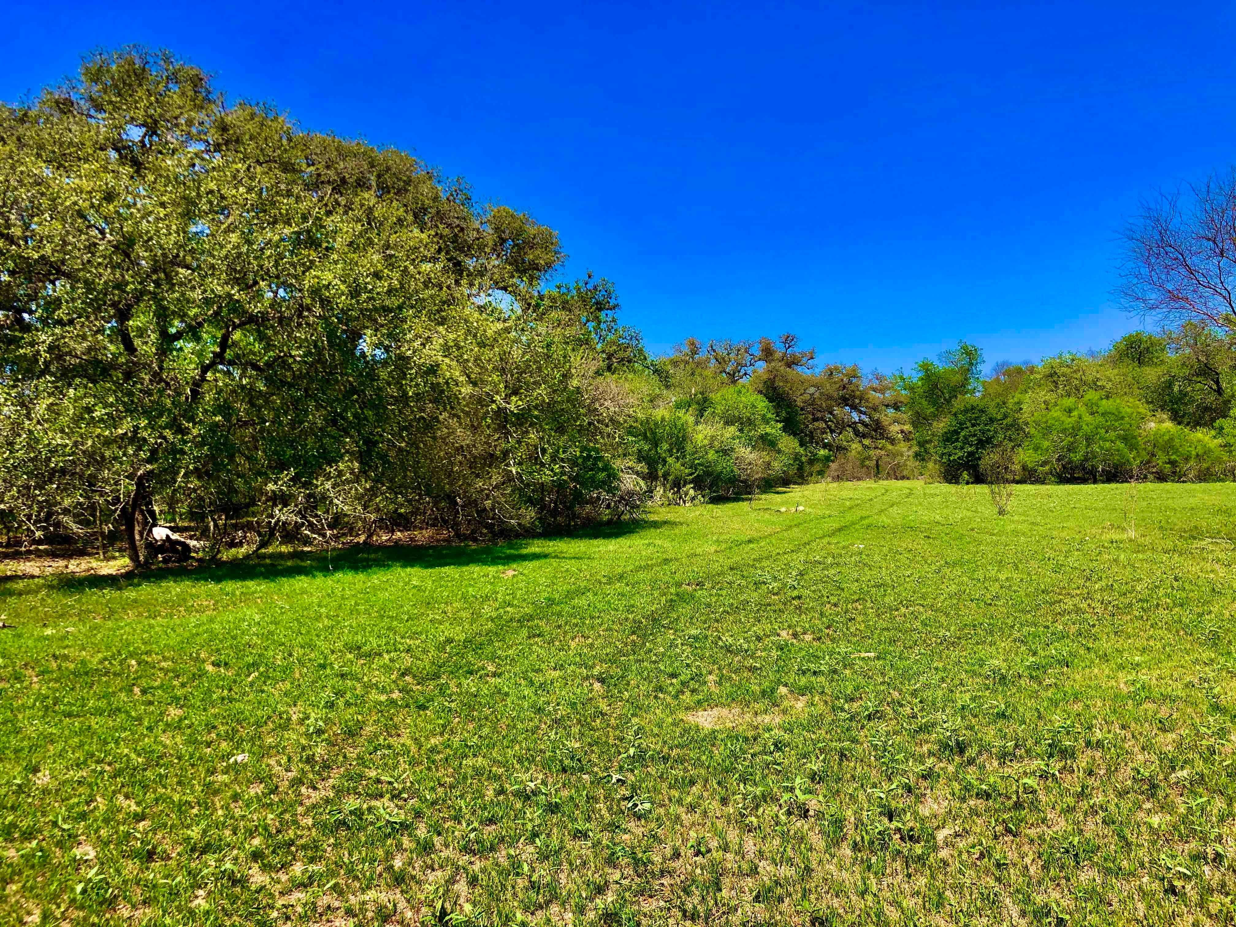 185 acres in Dewitt County, Texas