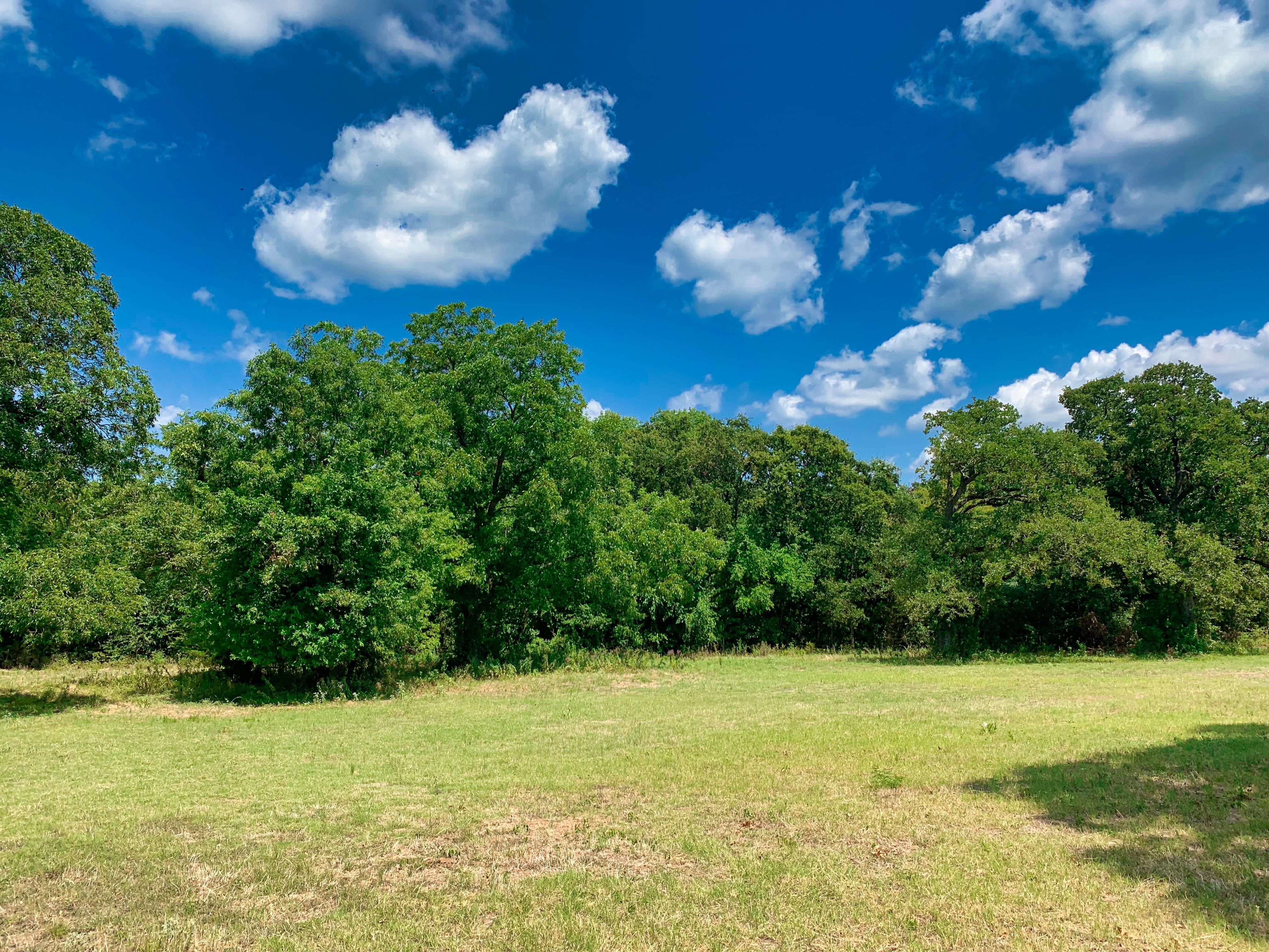 10.01 acres in Rains County, Texas