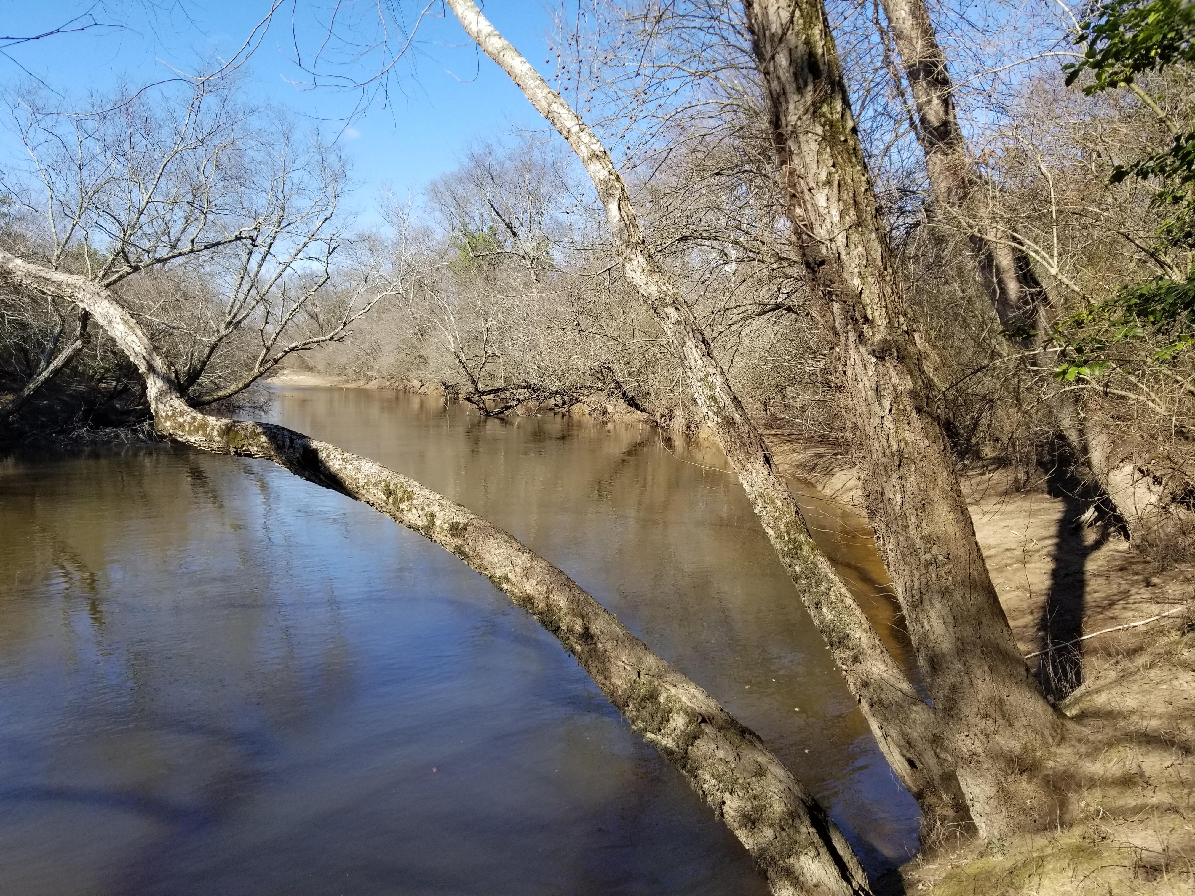 14.13 acres in King and Queen County, Virginia