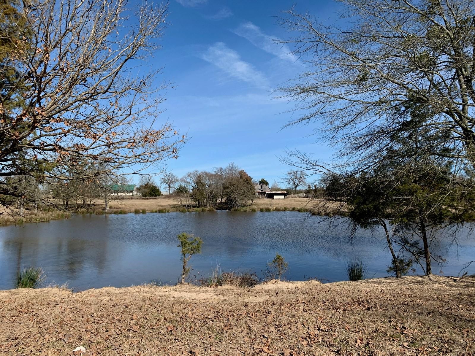175 acres in Red River County, Texas