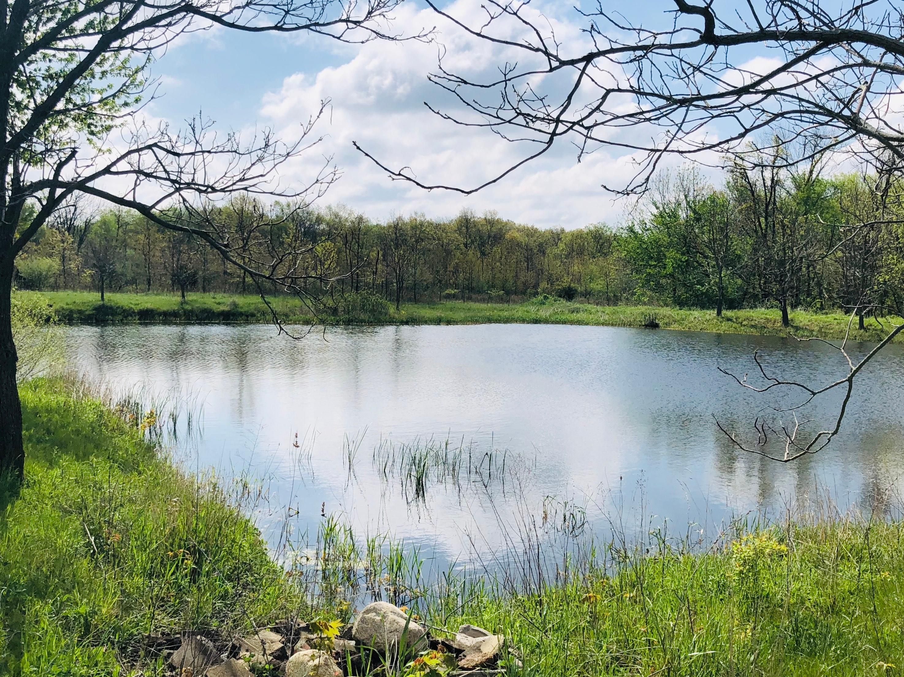 36.79 acres in DeWitt County, Illinois