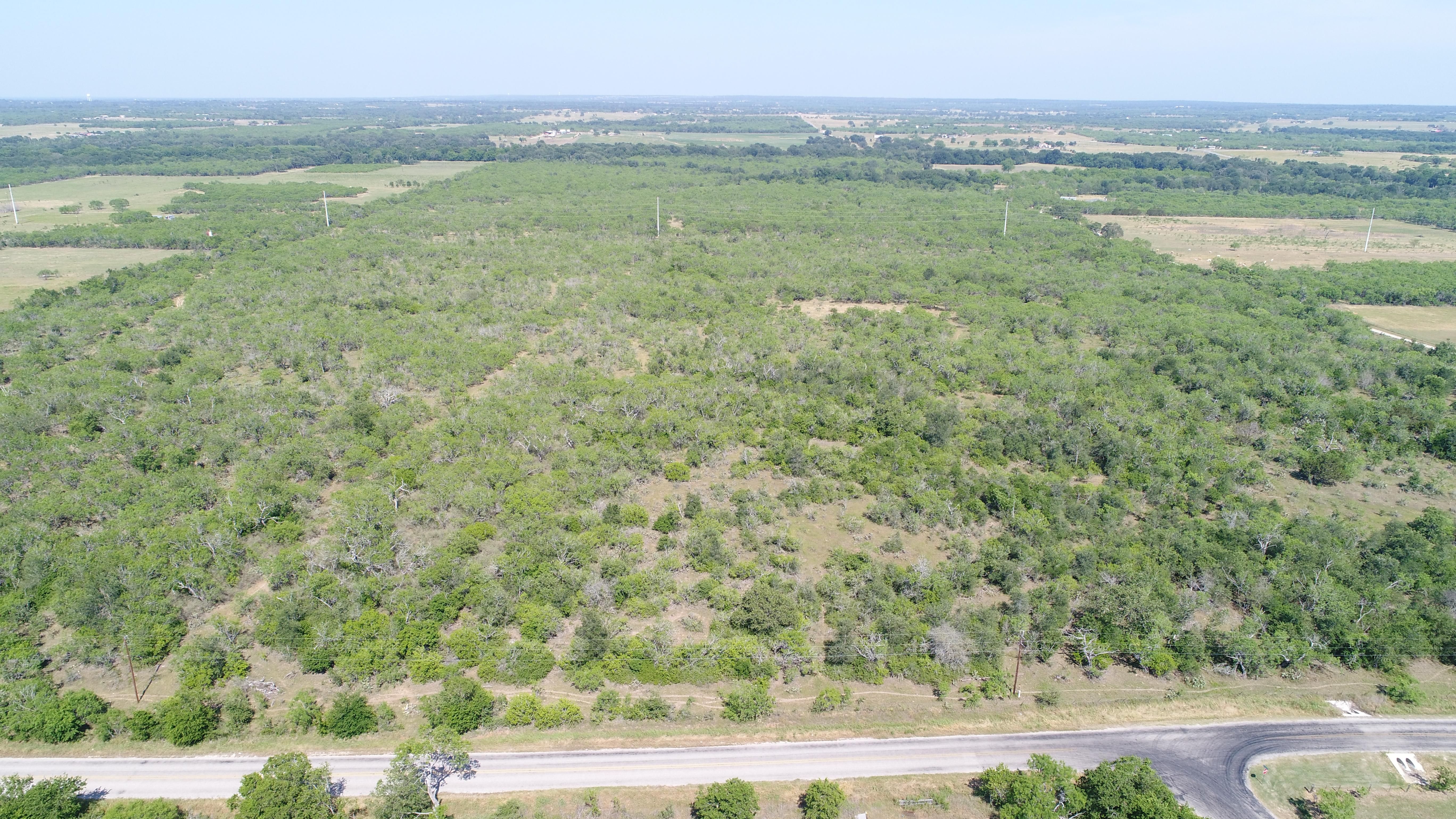 Busted Guadalupe County - uayb5xj