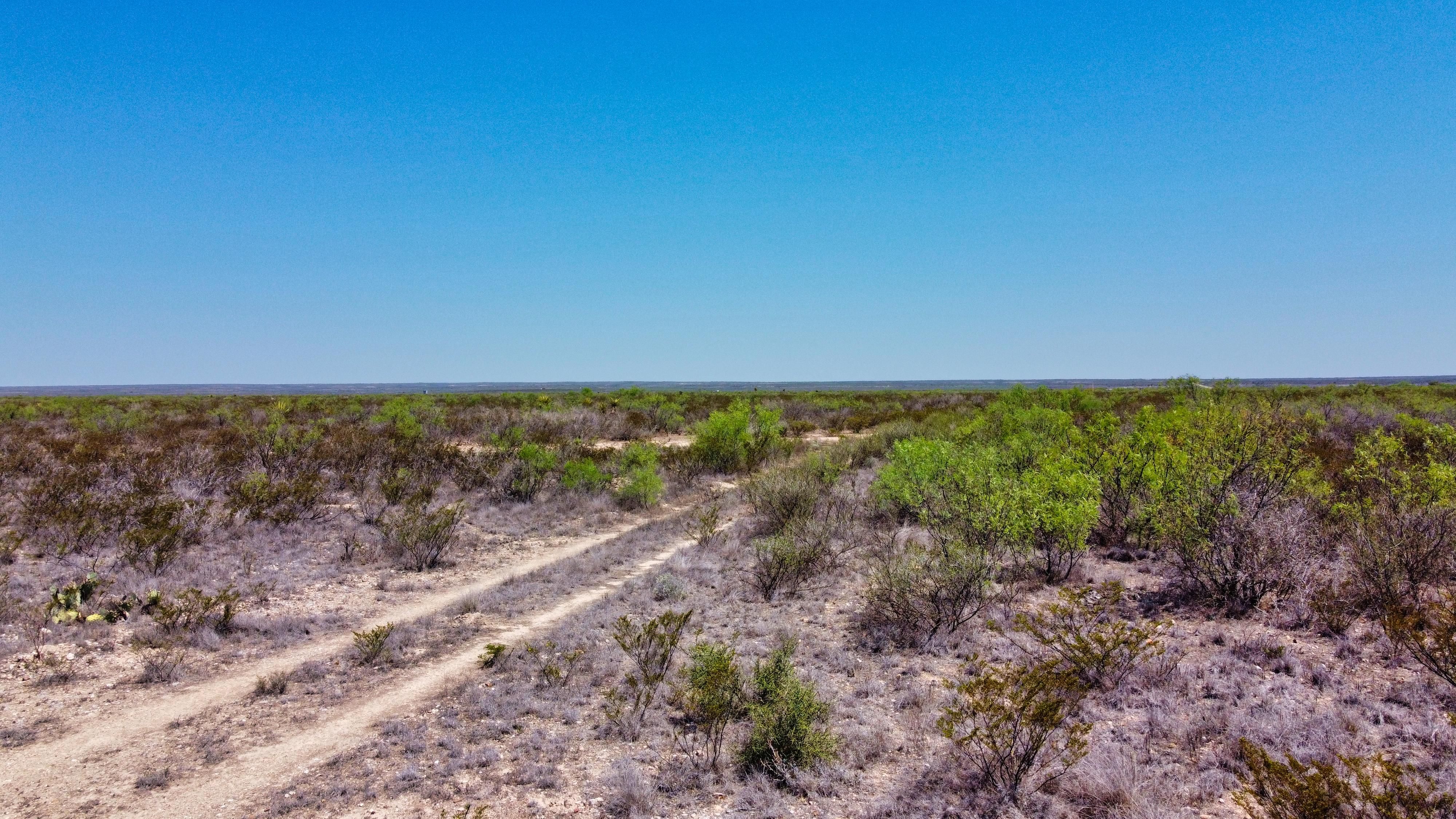 225.29 acres in Terrell County, Texas