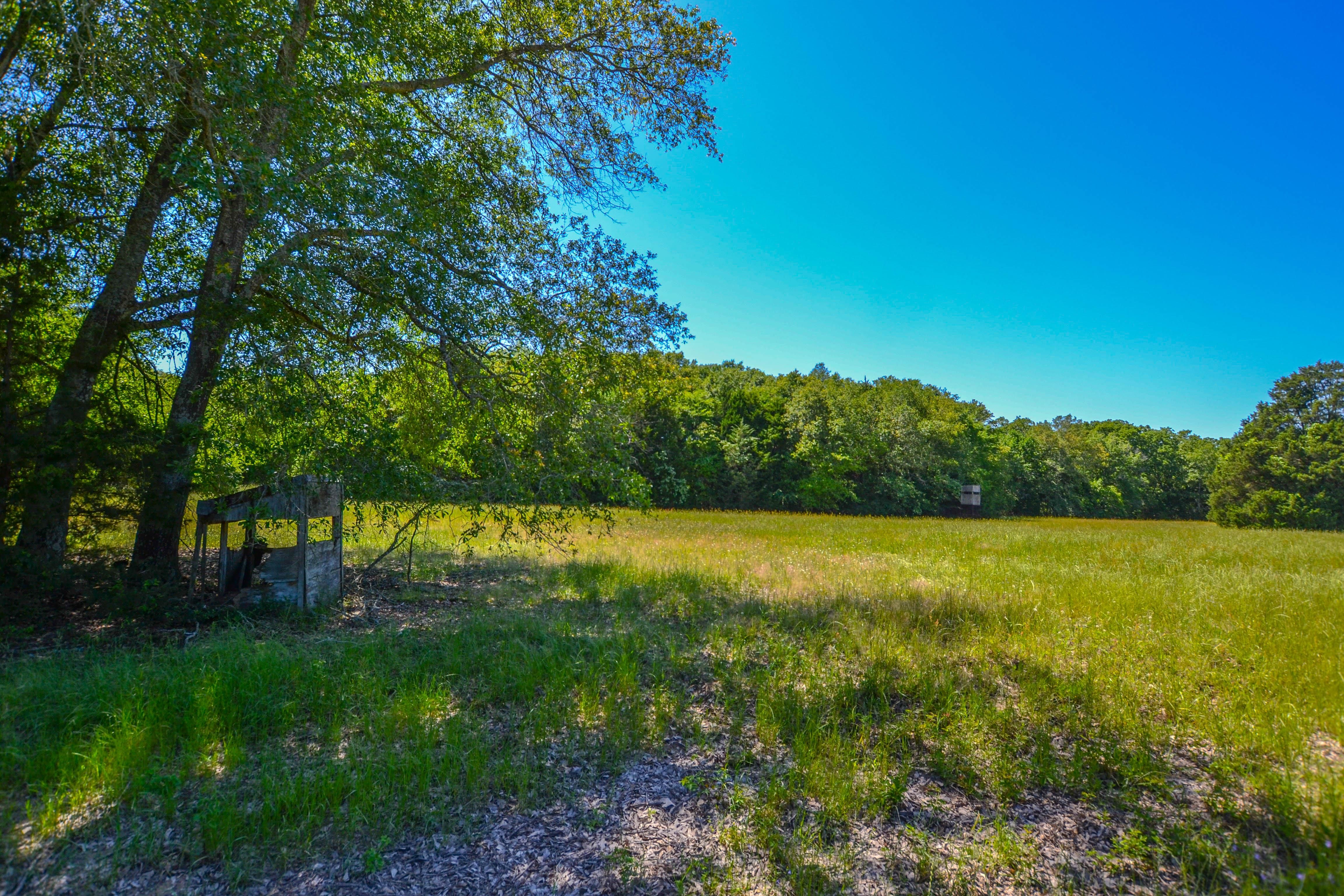 148 acres in Freestone County, Texas