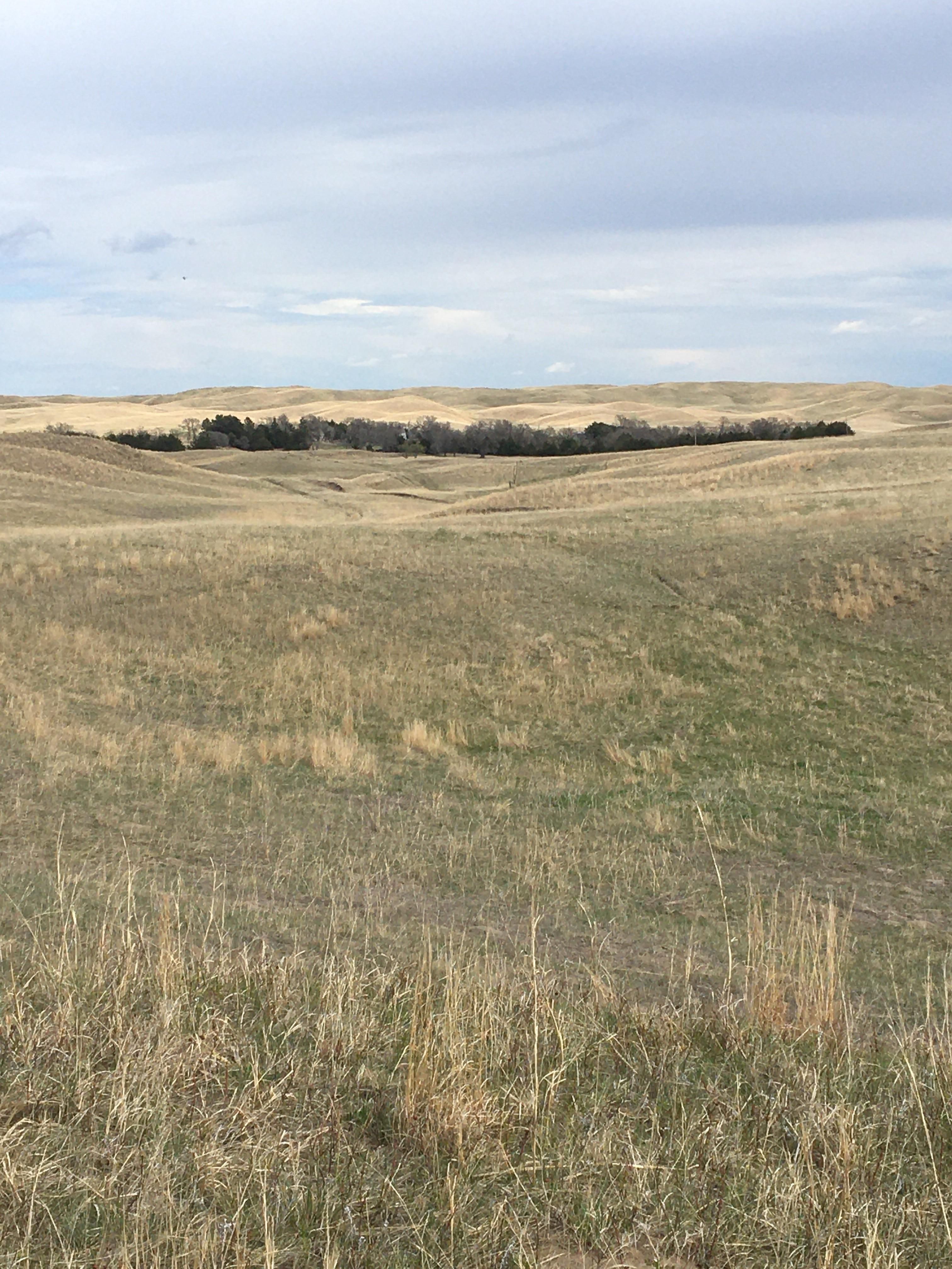 1,198.8 acres in Cherry County, Nebraska