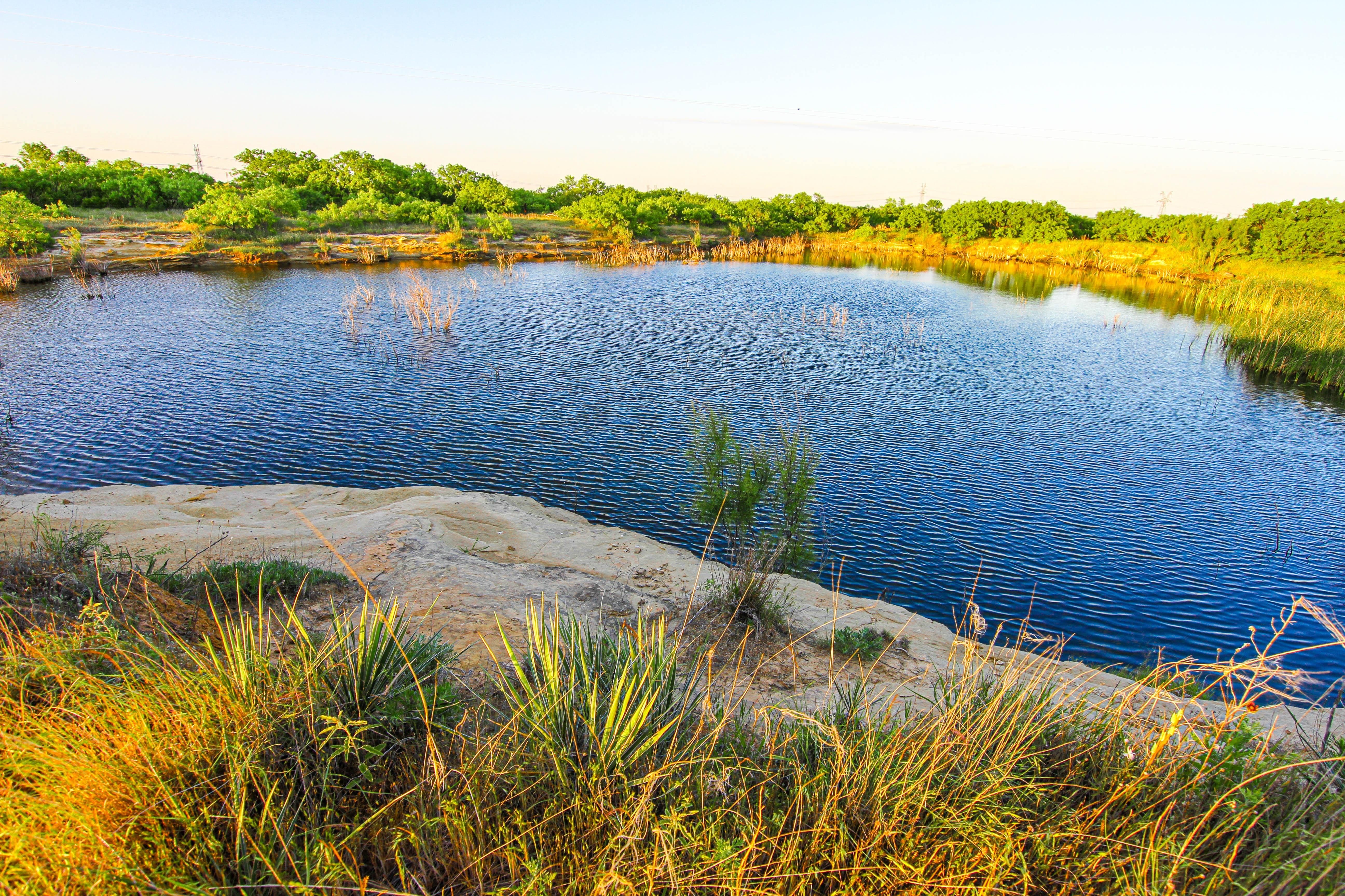 203 acres in Wichita County, Texas