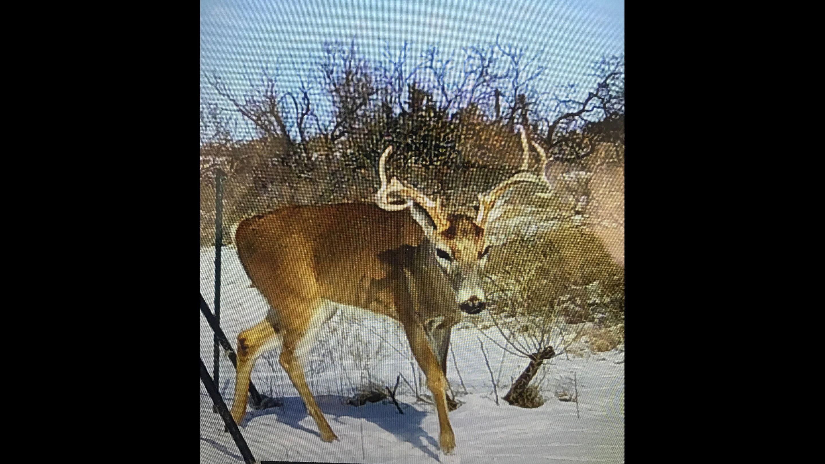 210 acres in Childress County, Texas