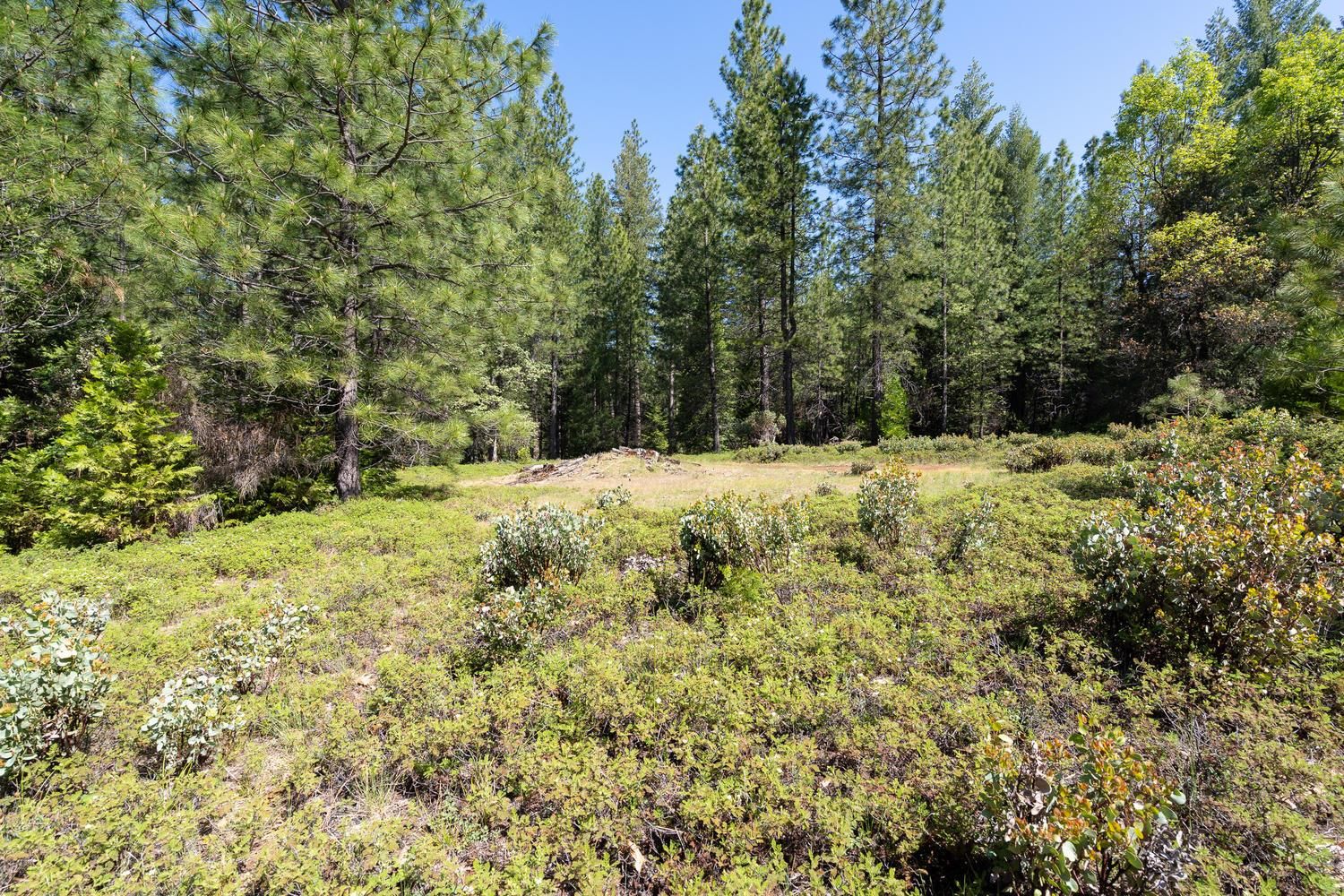10.00 acres in El Dorado County, California