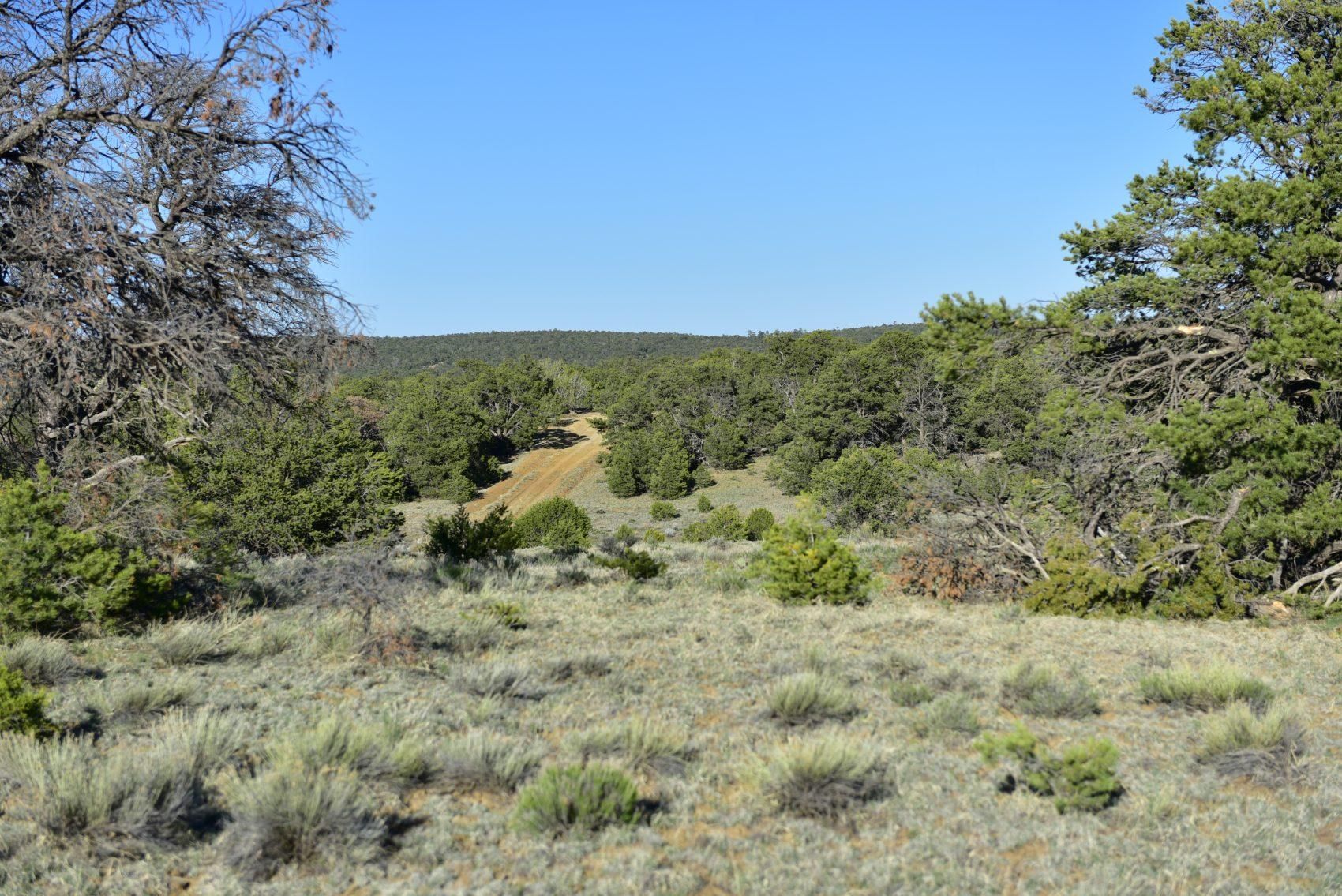 5.04 acres in Cibola County, New Mexico