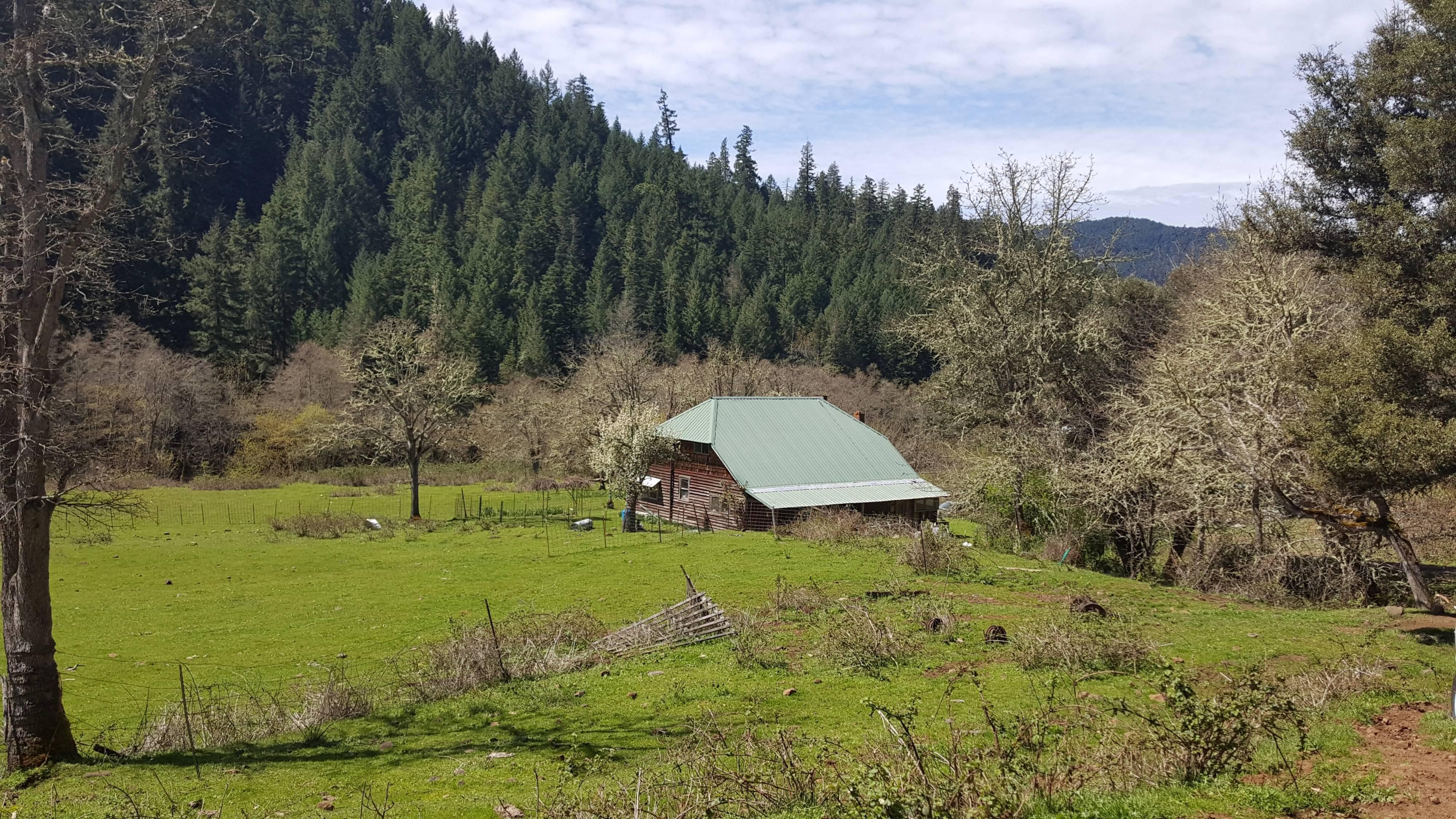 260 acres in Douglas County, Oregon
