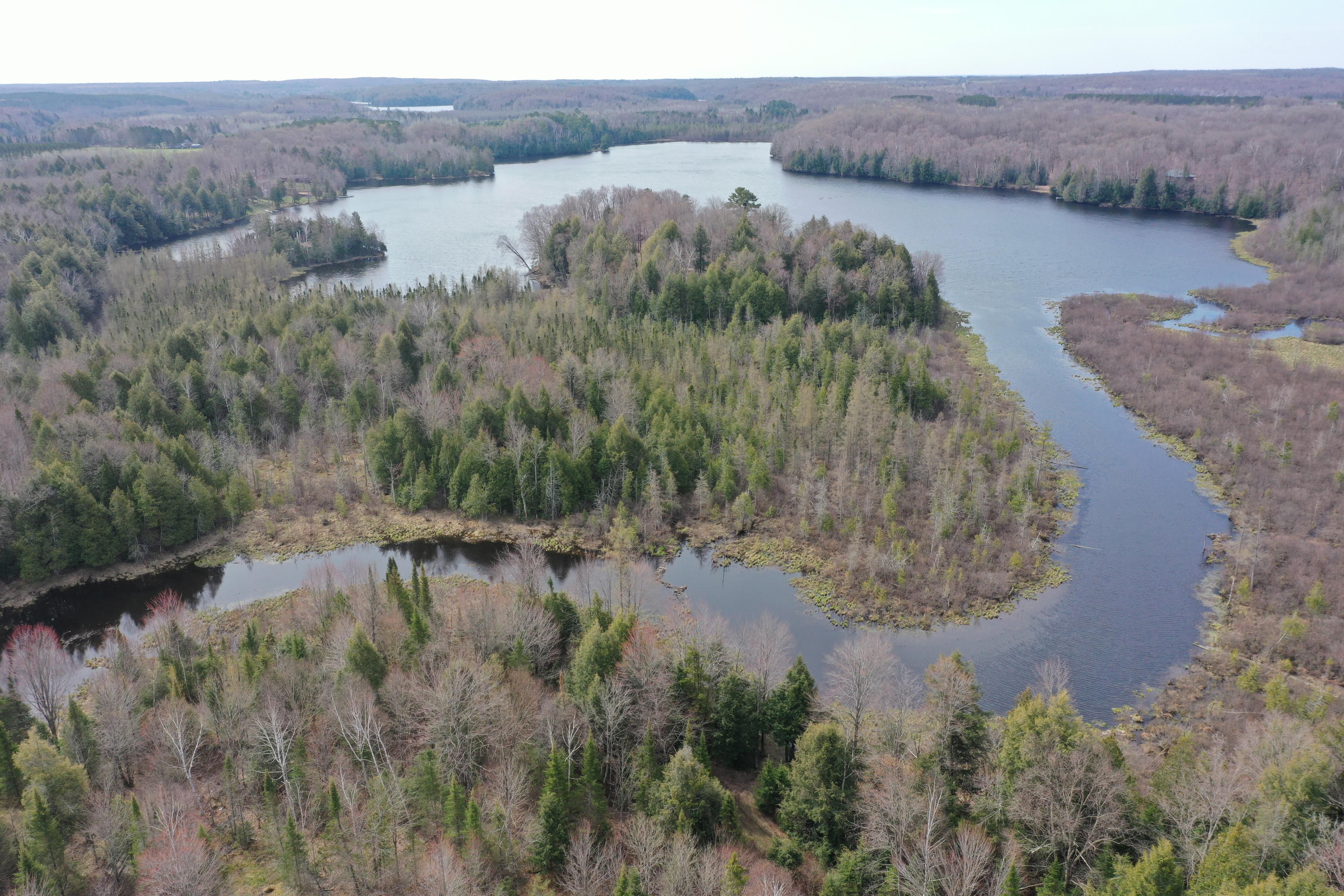 89.5 acres in Price County, Wisconsin