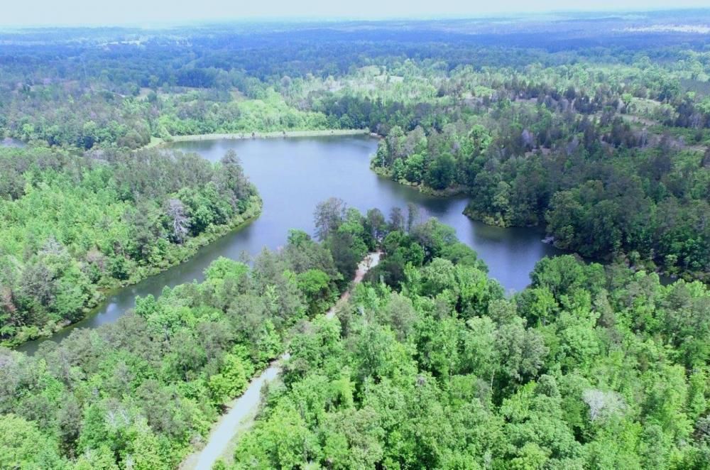 450.00 acres in Lowndes County, Alabama