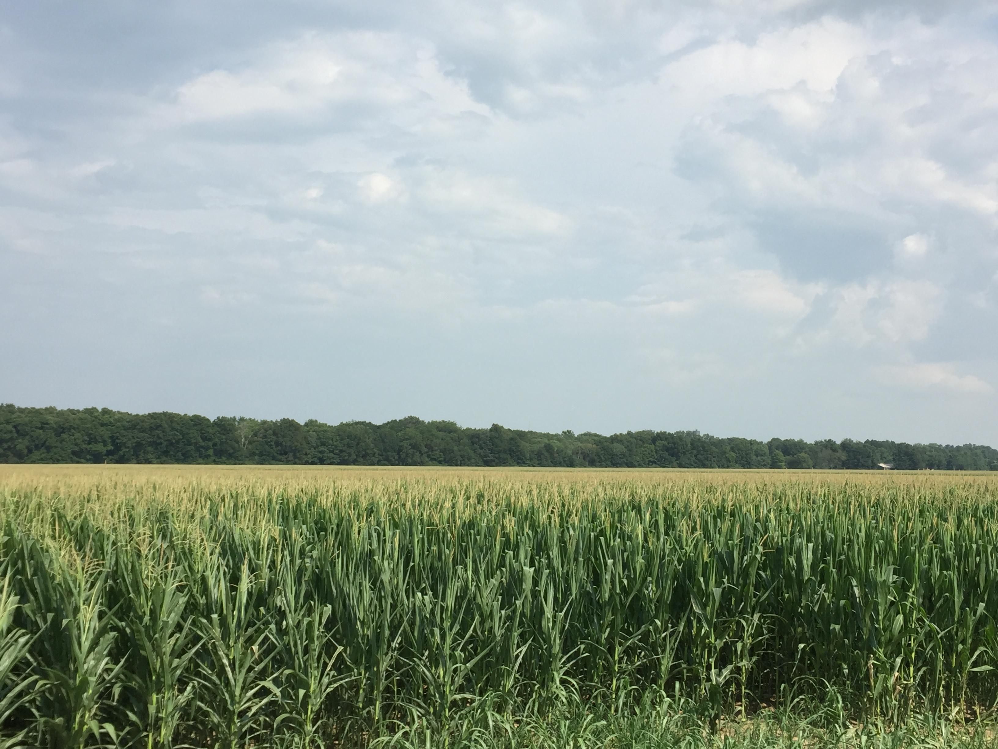 605.68 acres in Monroe County, Arkansas