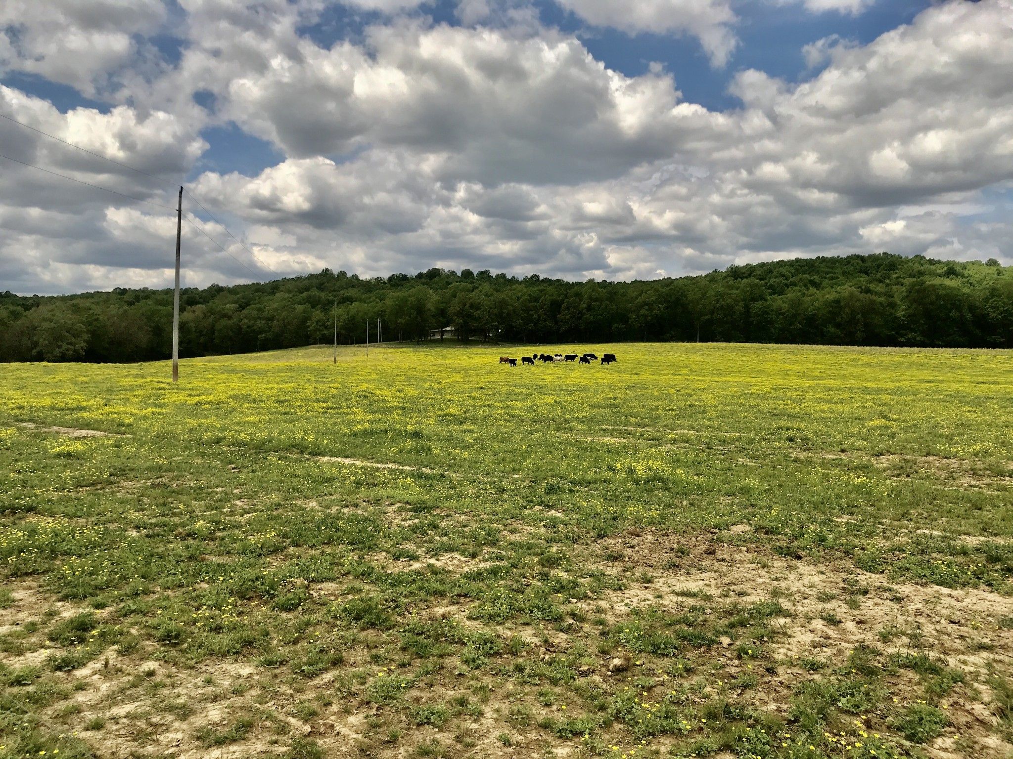 129 acres in Muhlenberg County, Kentucky