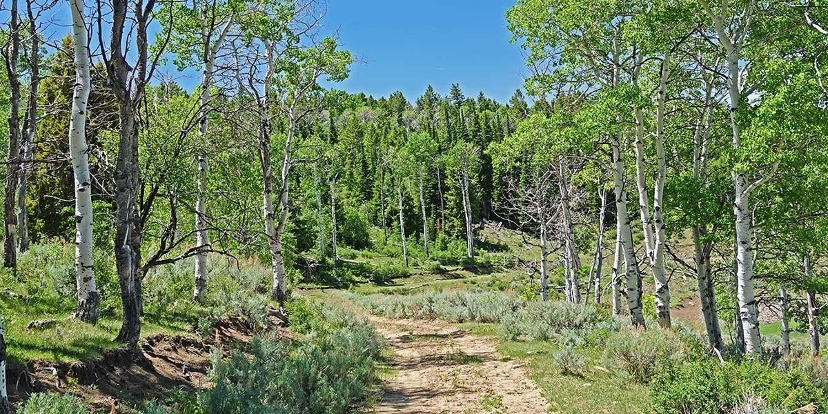 13,233 acres in Carbon County, Utah