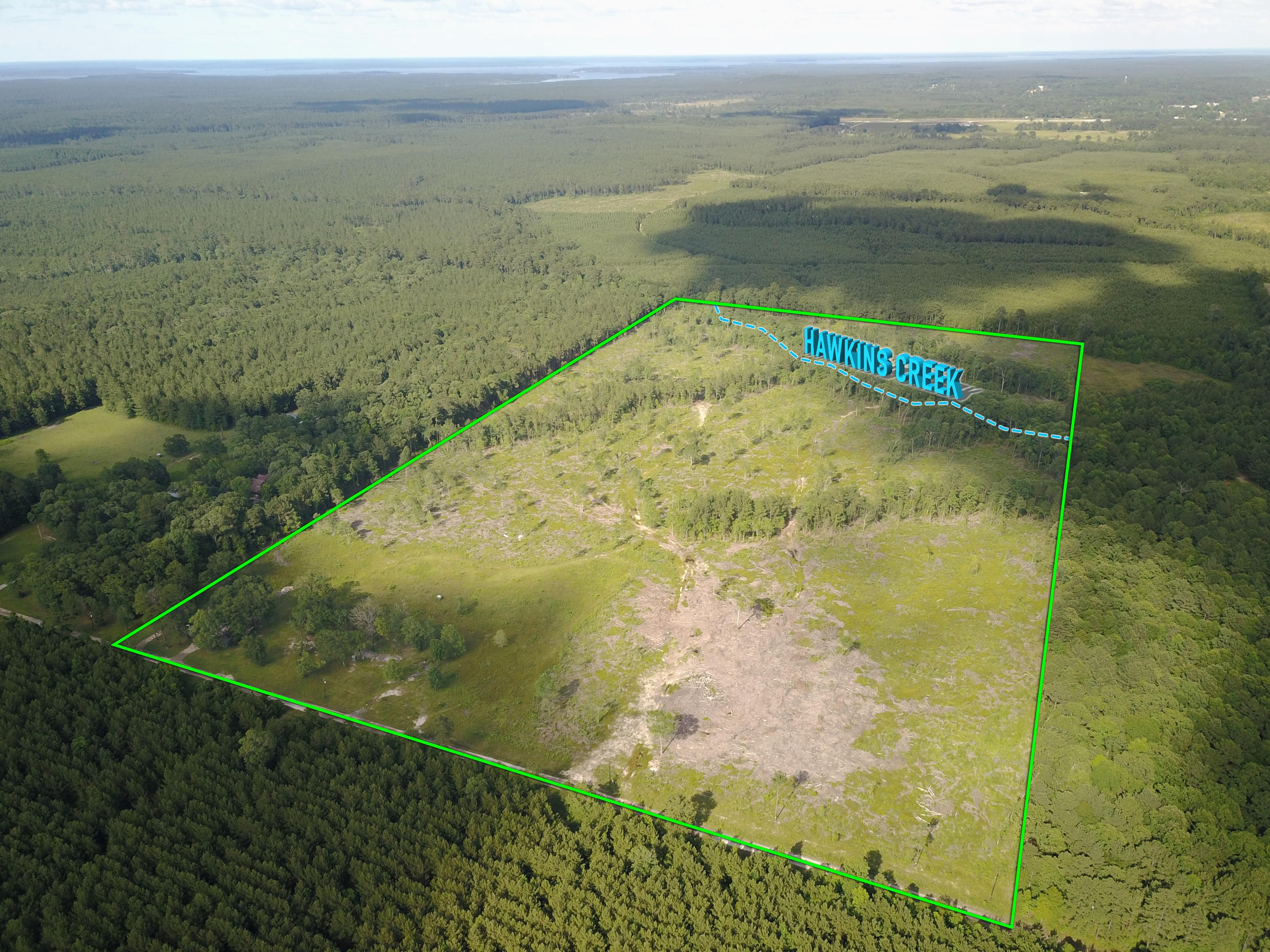 60 acres in Angelina County, Texas