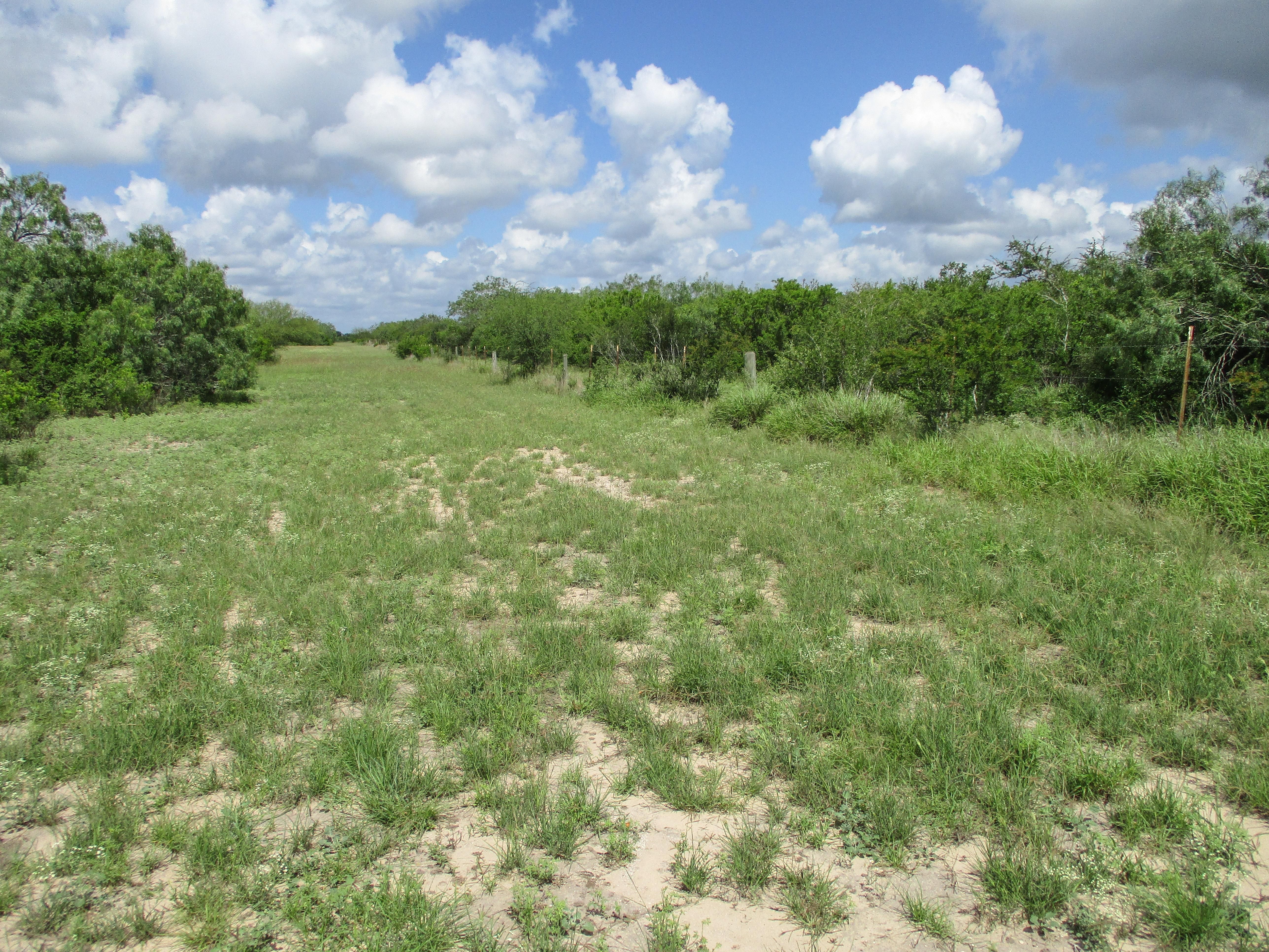 50 acres in Duval County, Texas