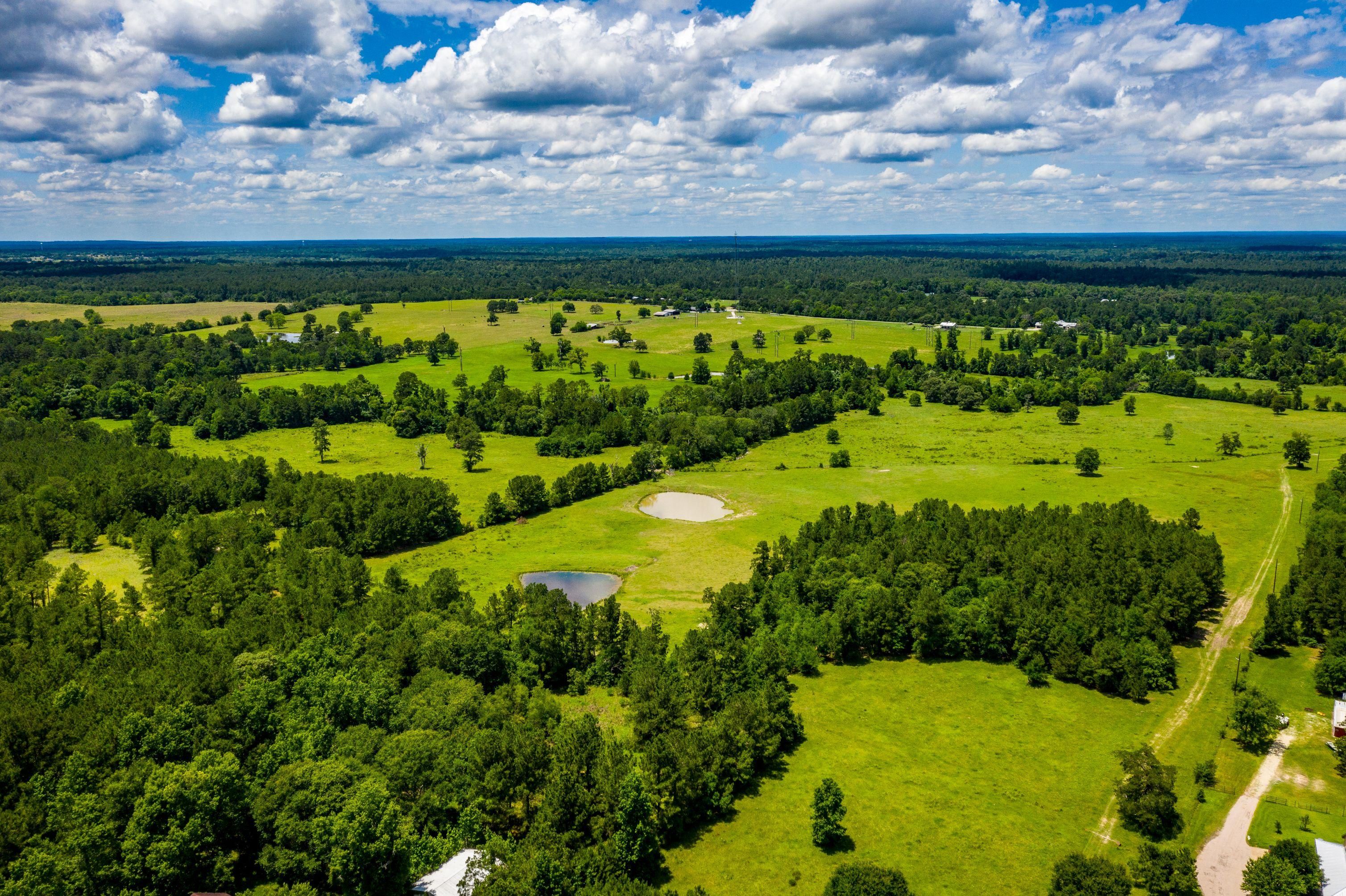 168 acres in Walker County, Texas