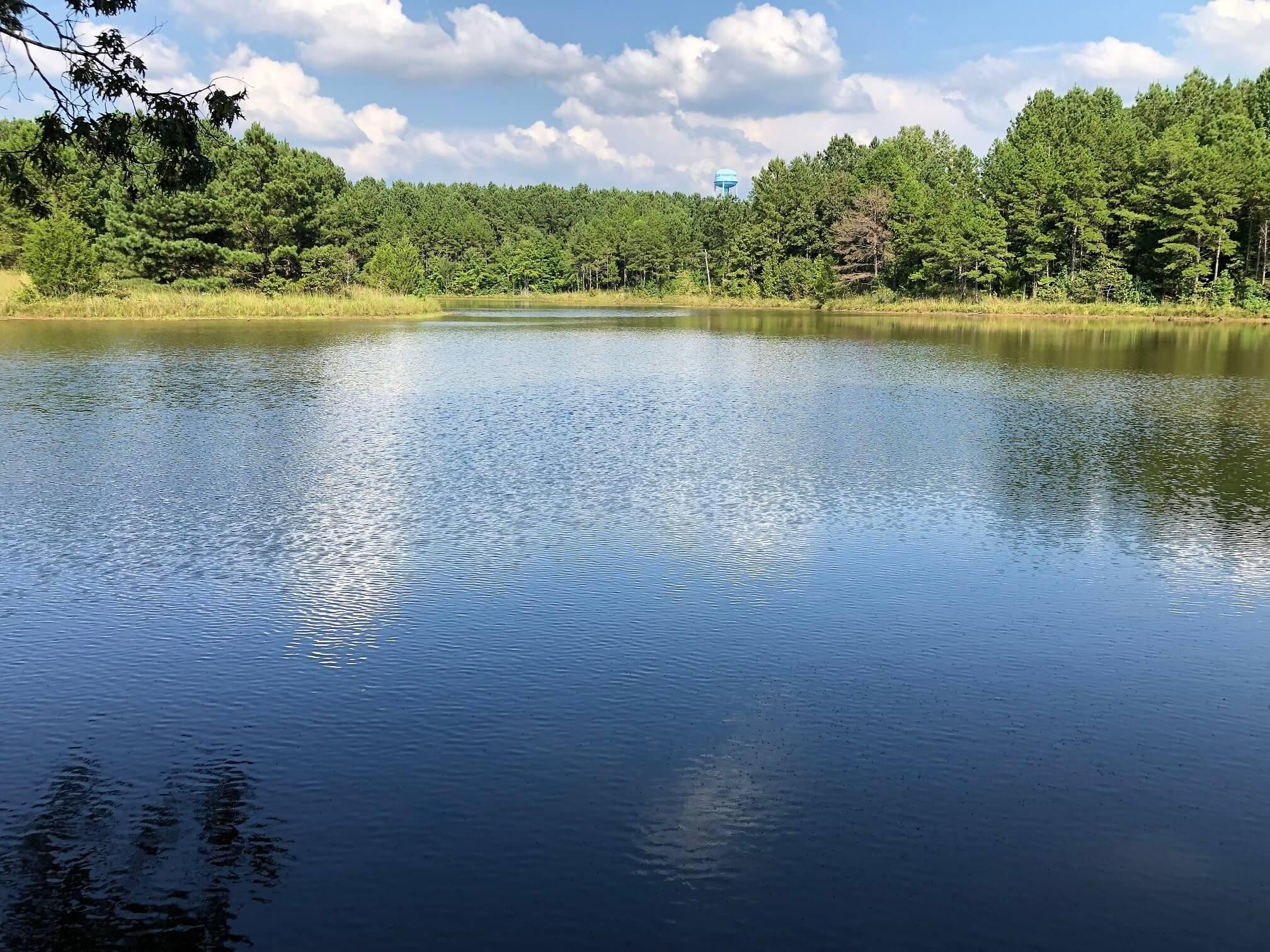 49 acres in Prentiss County, Mississippi