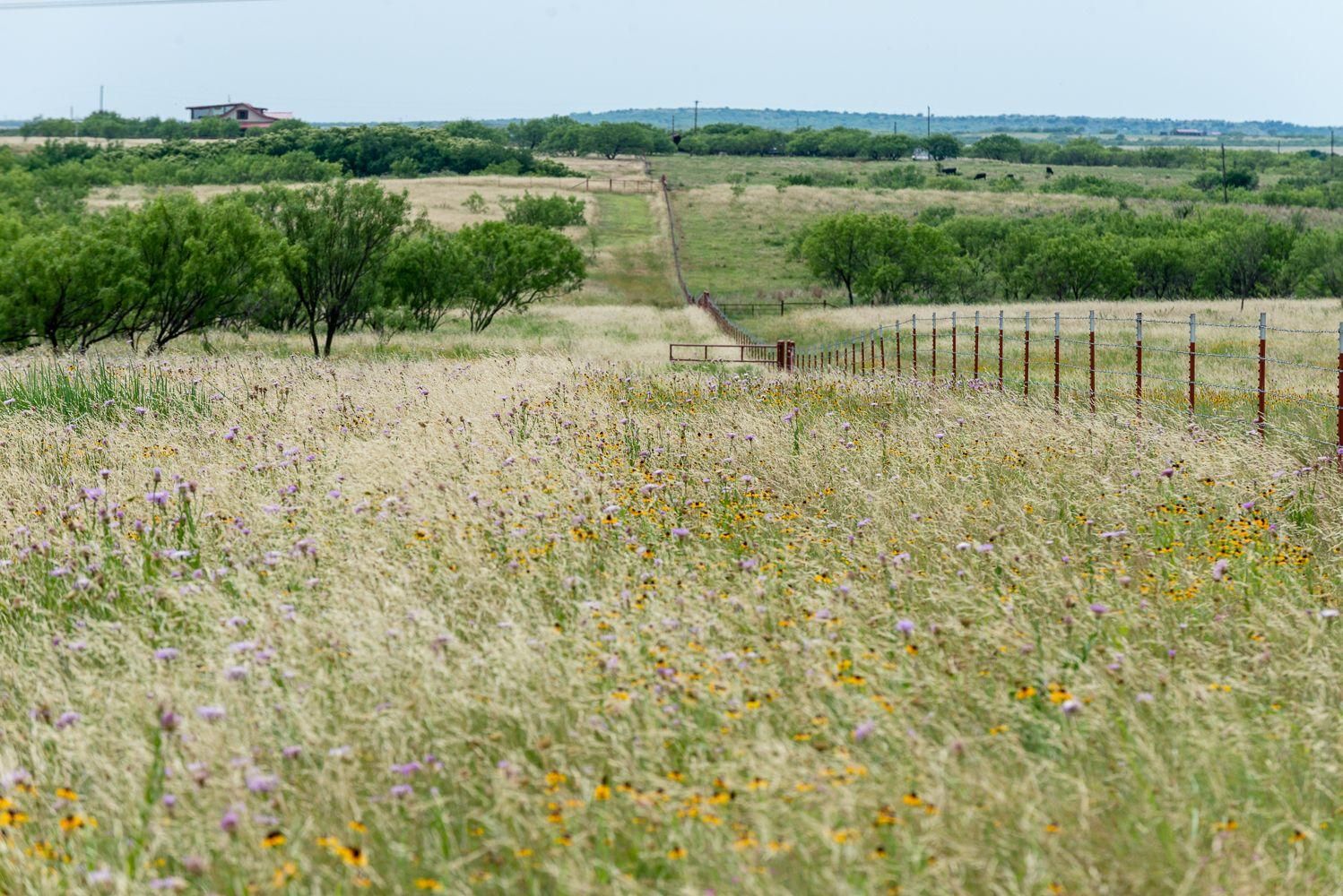12,000 acres in Archer County, Texas