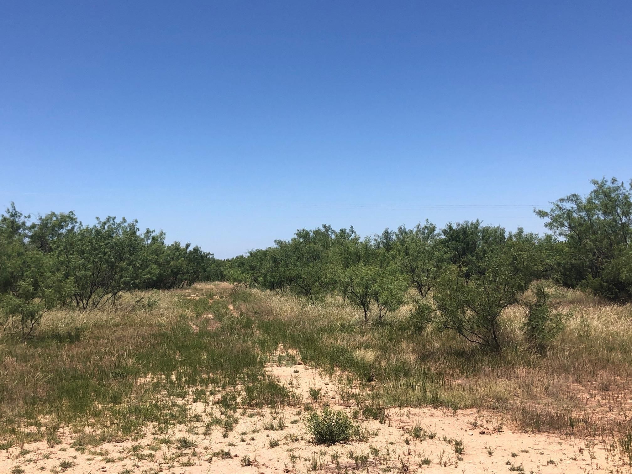 640 acres in Nolan County, Texas
