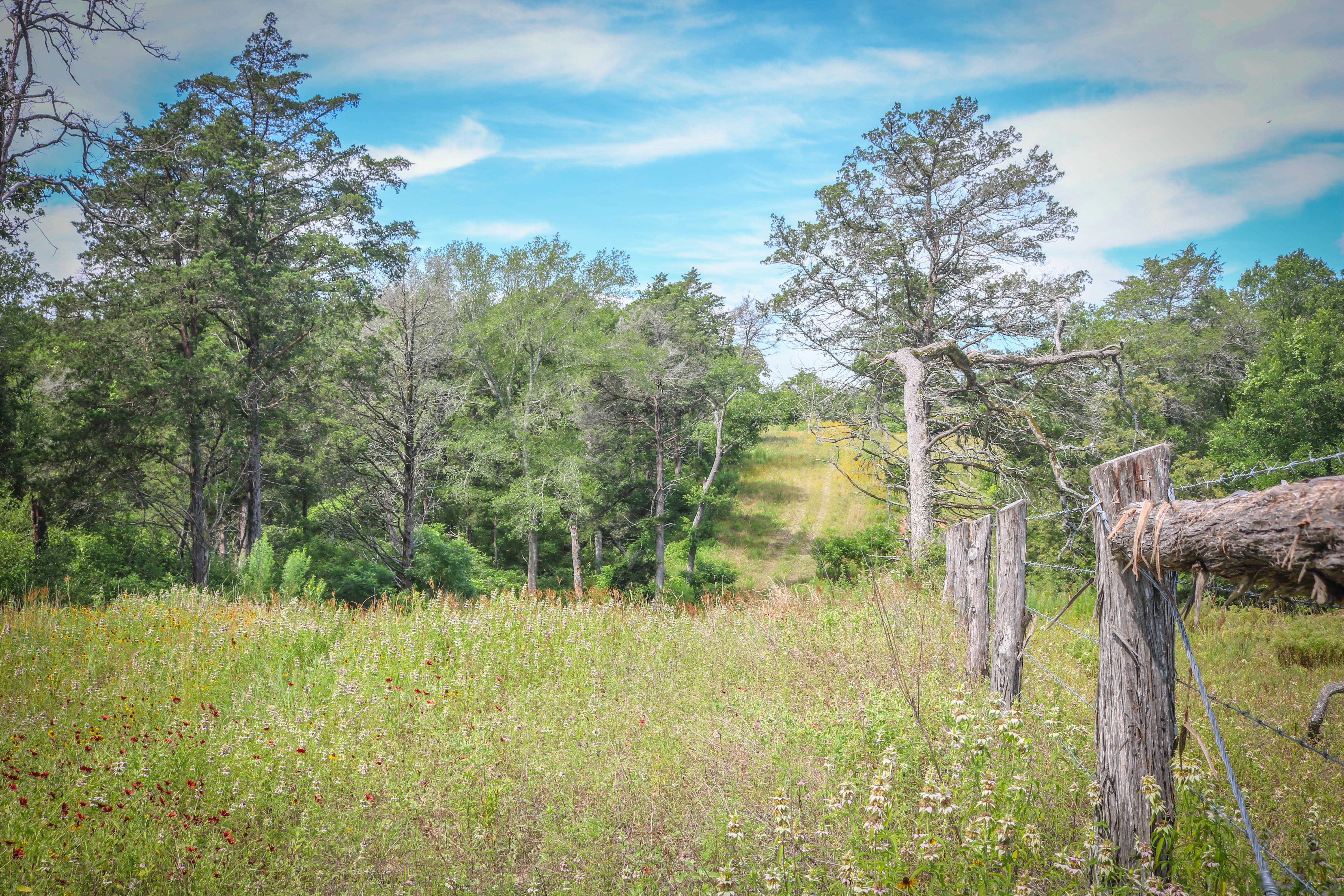 52.27 acres in Burleson County, Texas