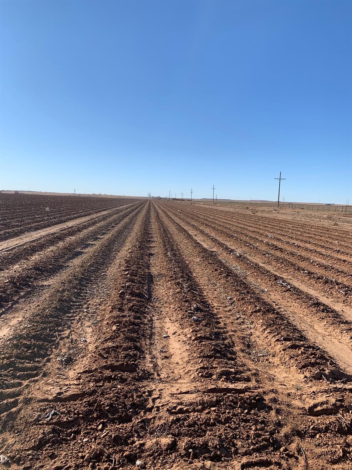 160 acres in Hale County, Texas