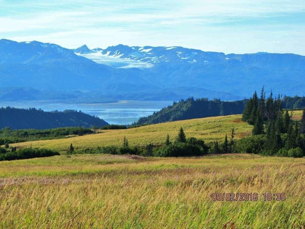 177.14 acres in Kenai Peninsula Borough, Alaska
