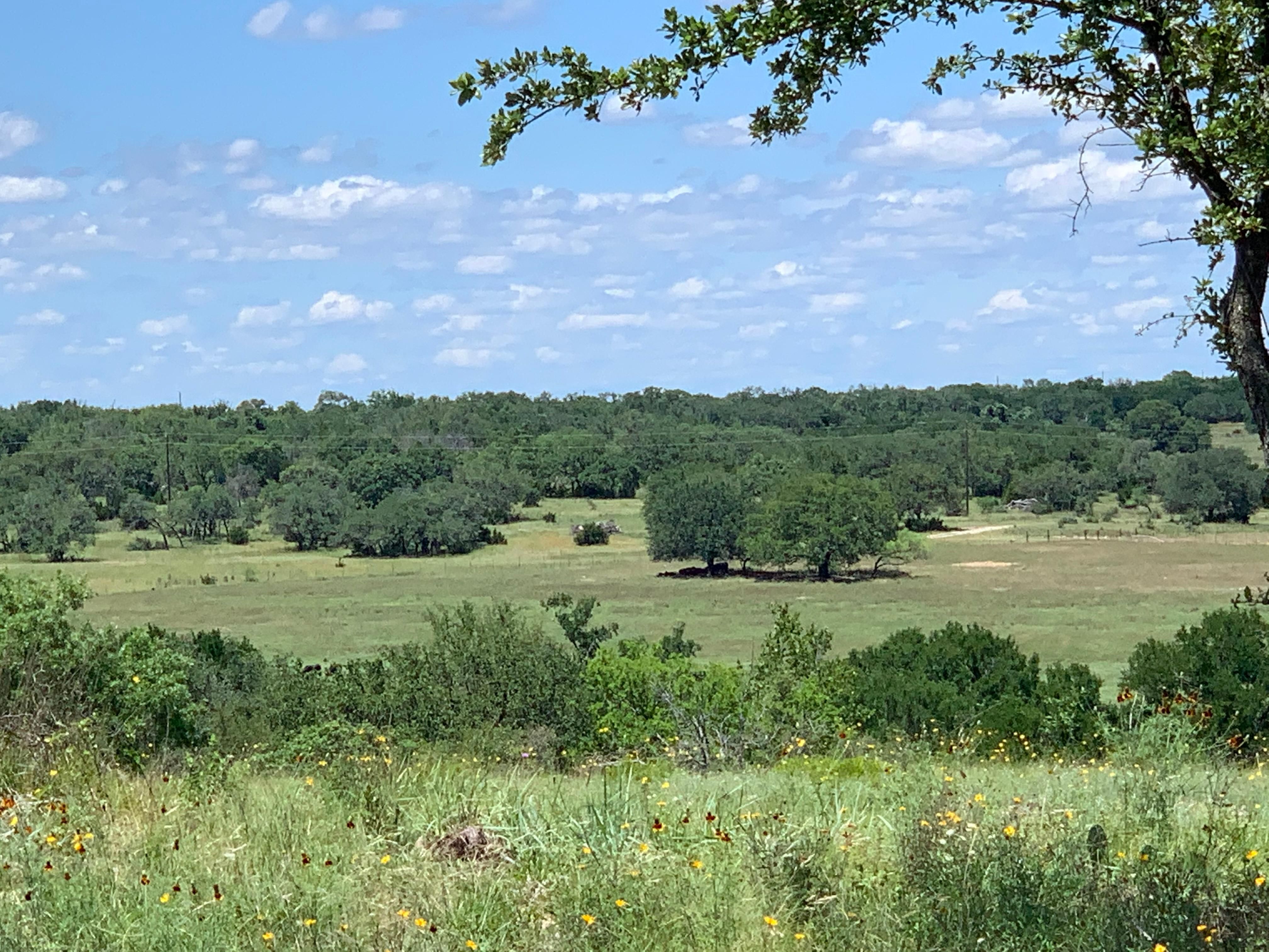 16.89 acres in County, Texas