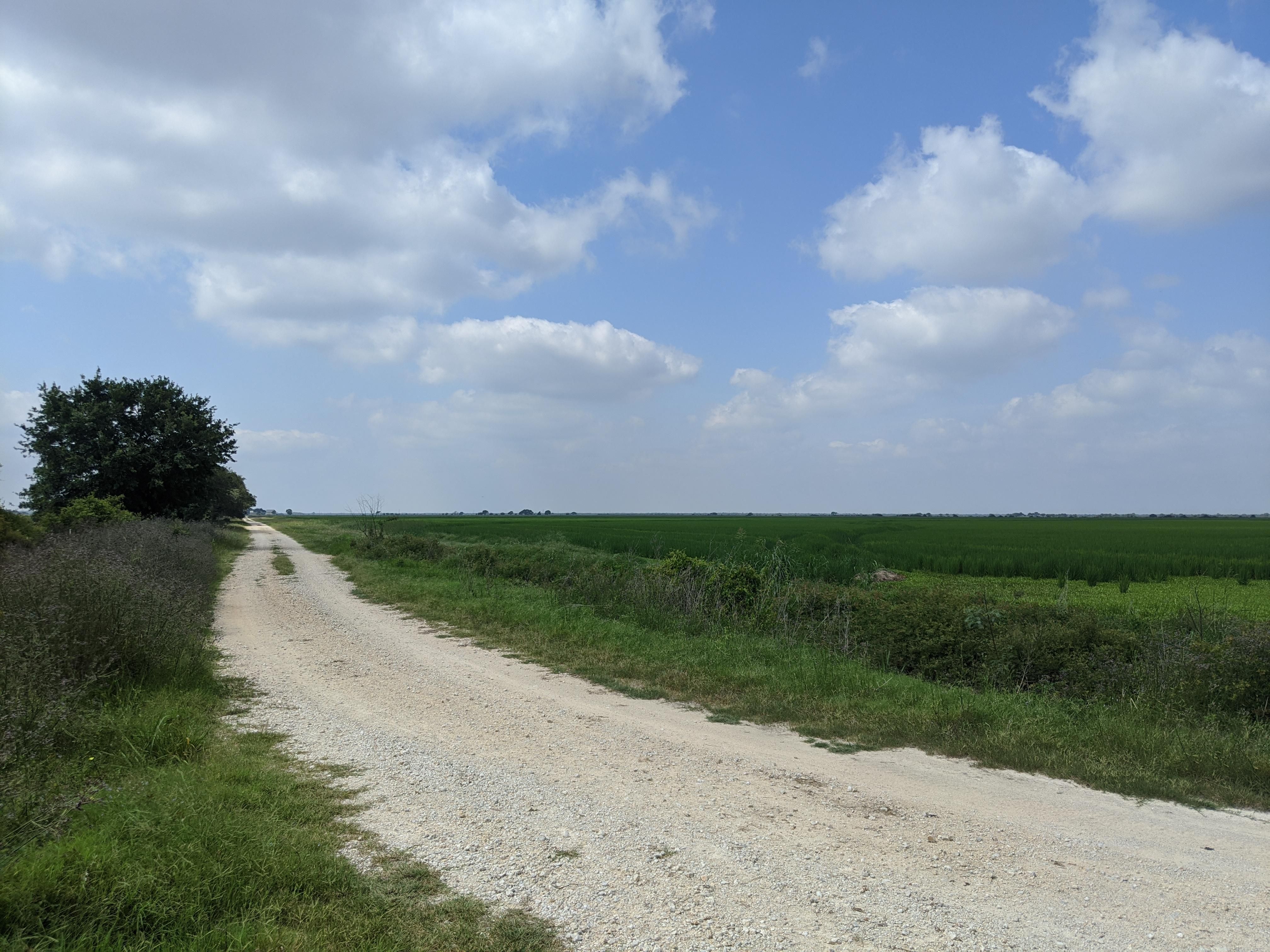 10.00 acres in Colorado County, Texas