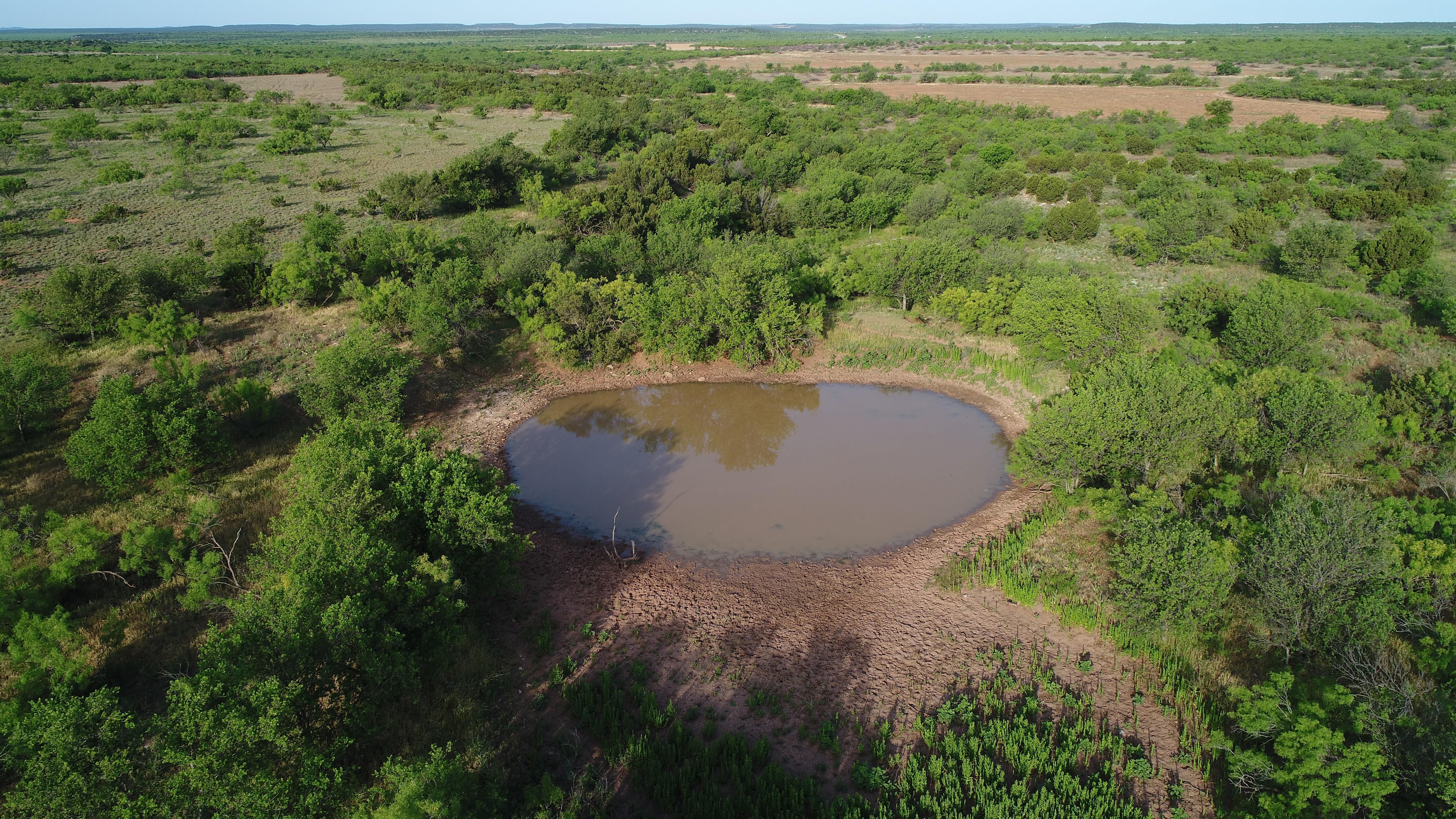 175 acres in Foard County, Texas