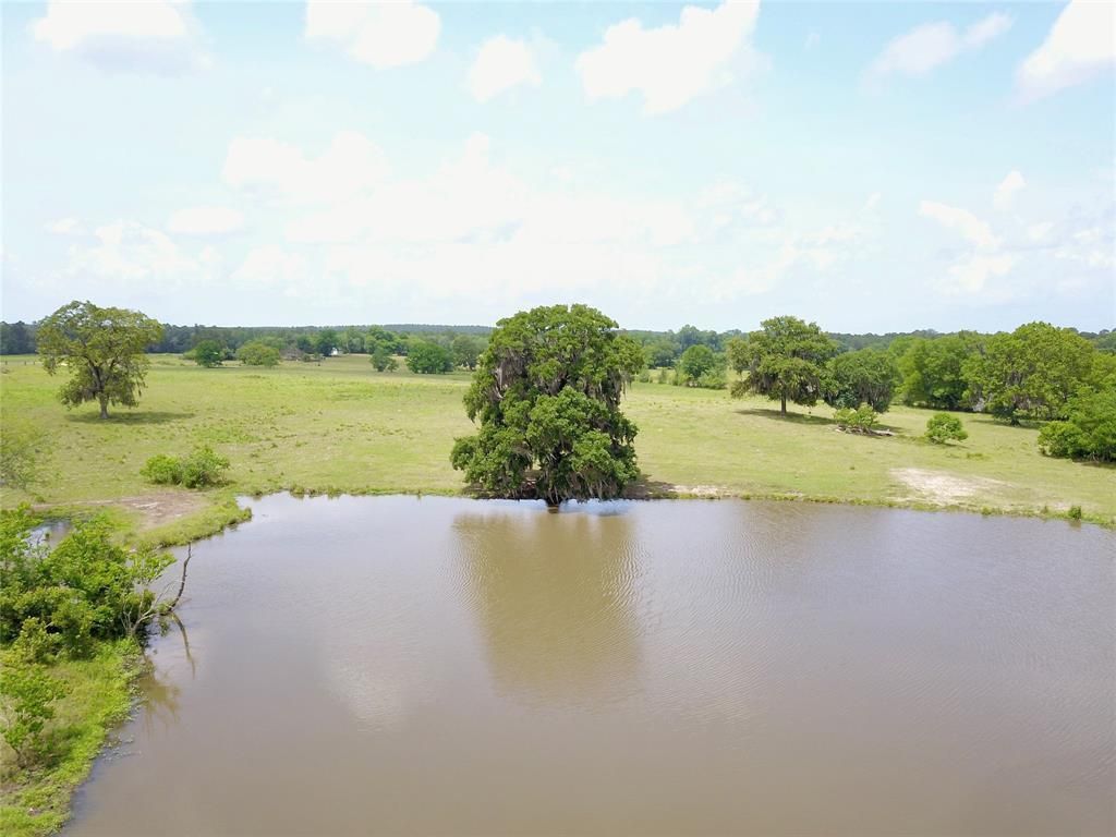 163.27 acres in Trinity County, Texas