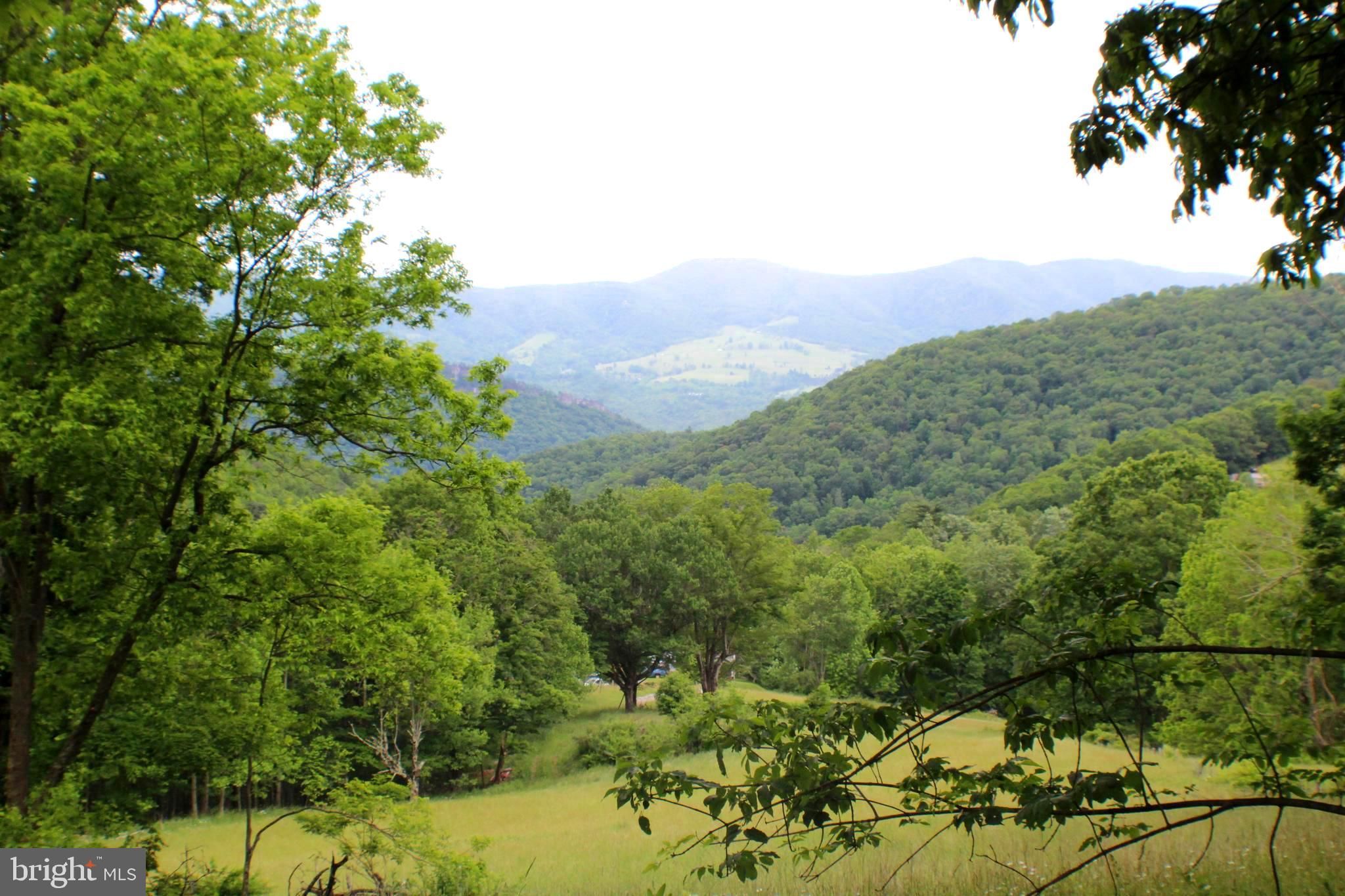 46 acres in Pendleton County, West Virginia