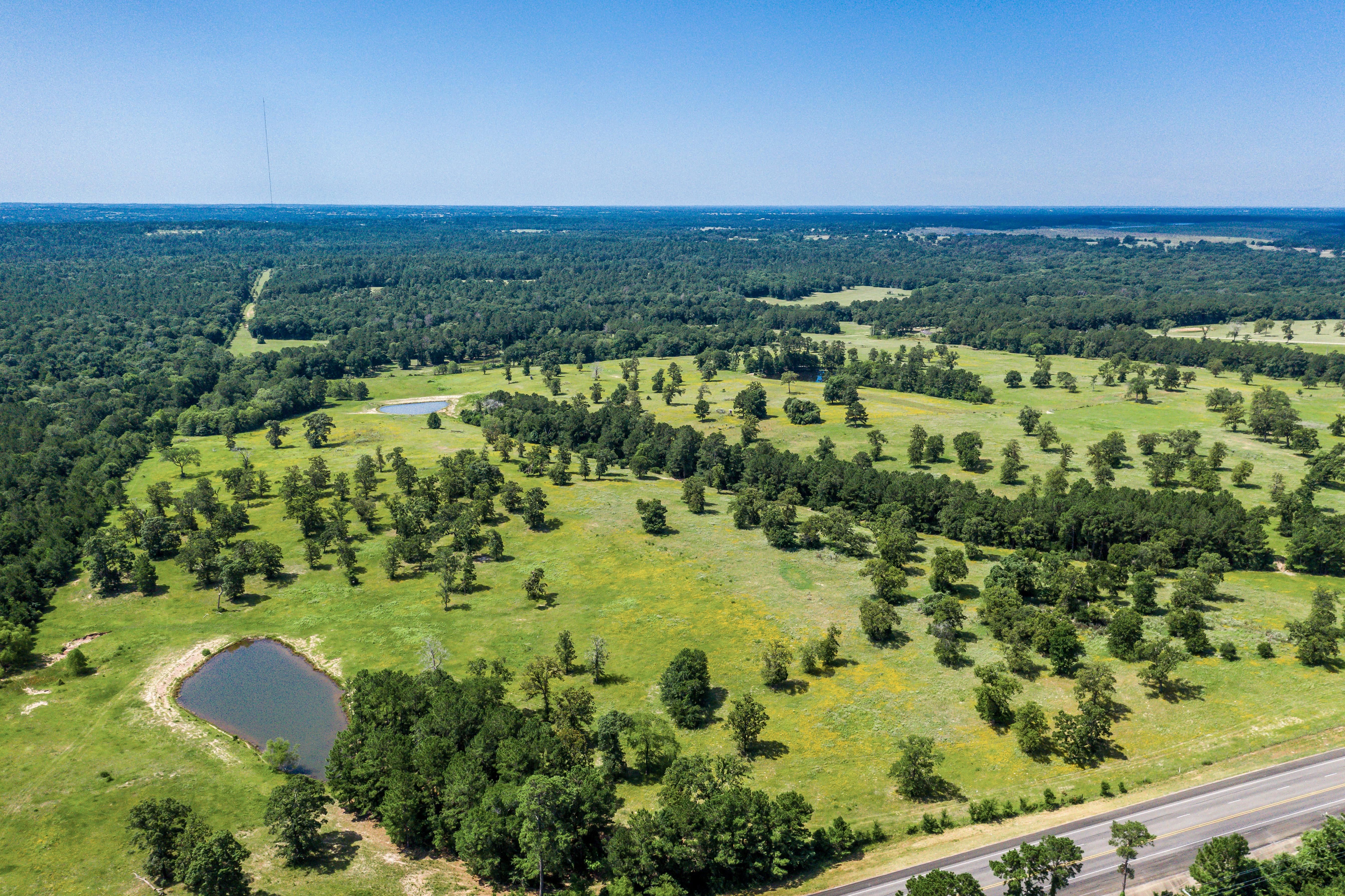 80 acres in Grimes County, Texas