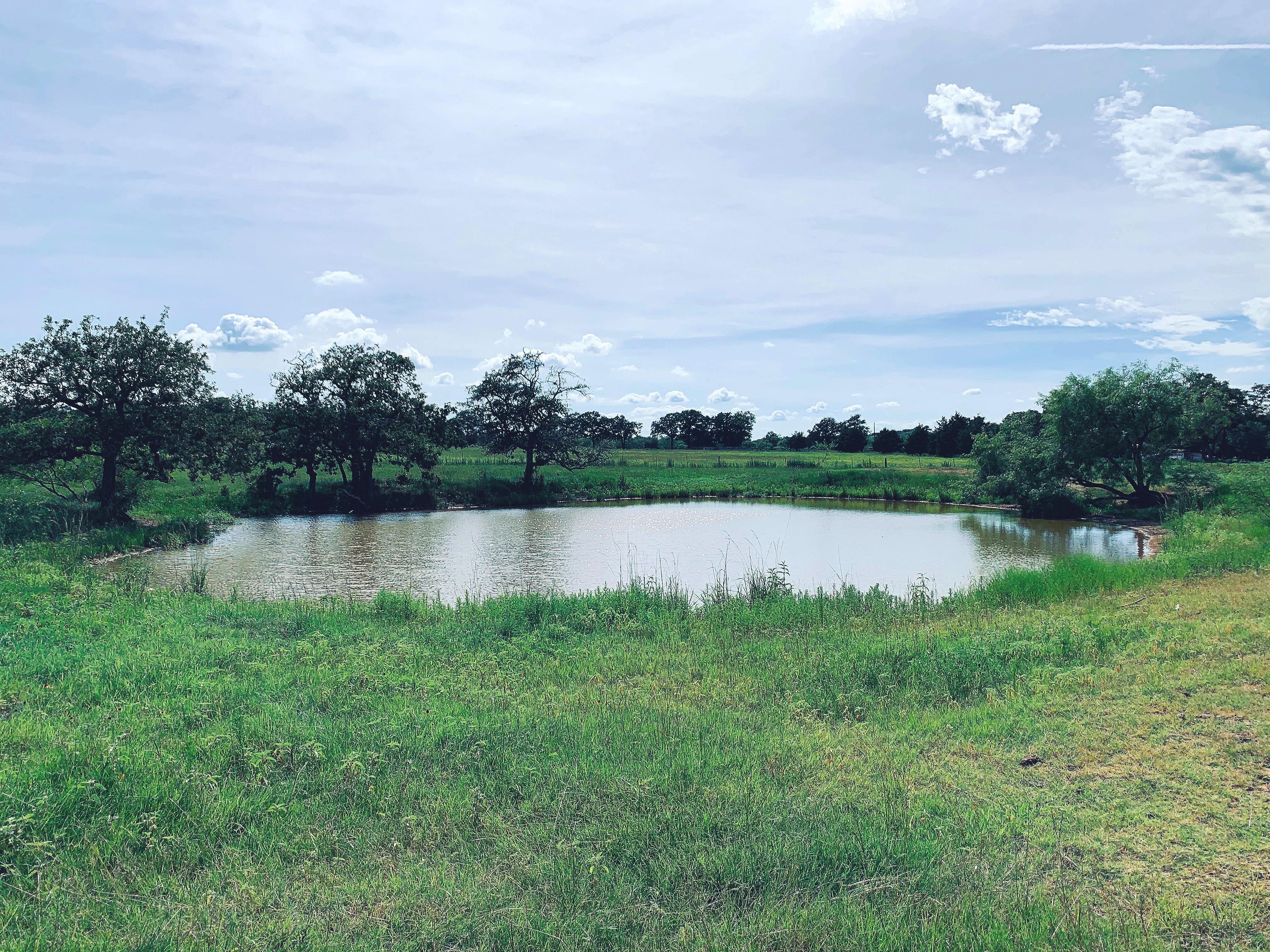 15 acres in Gonzales County, Texas
