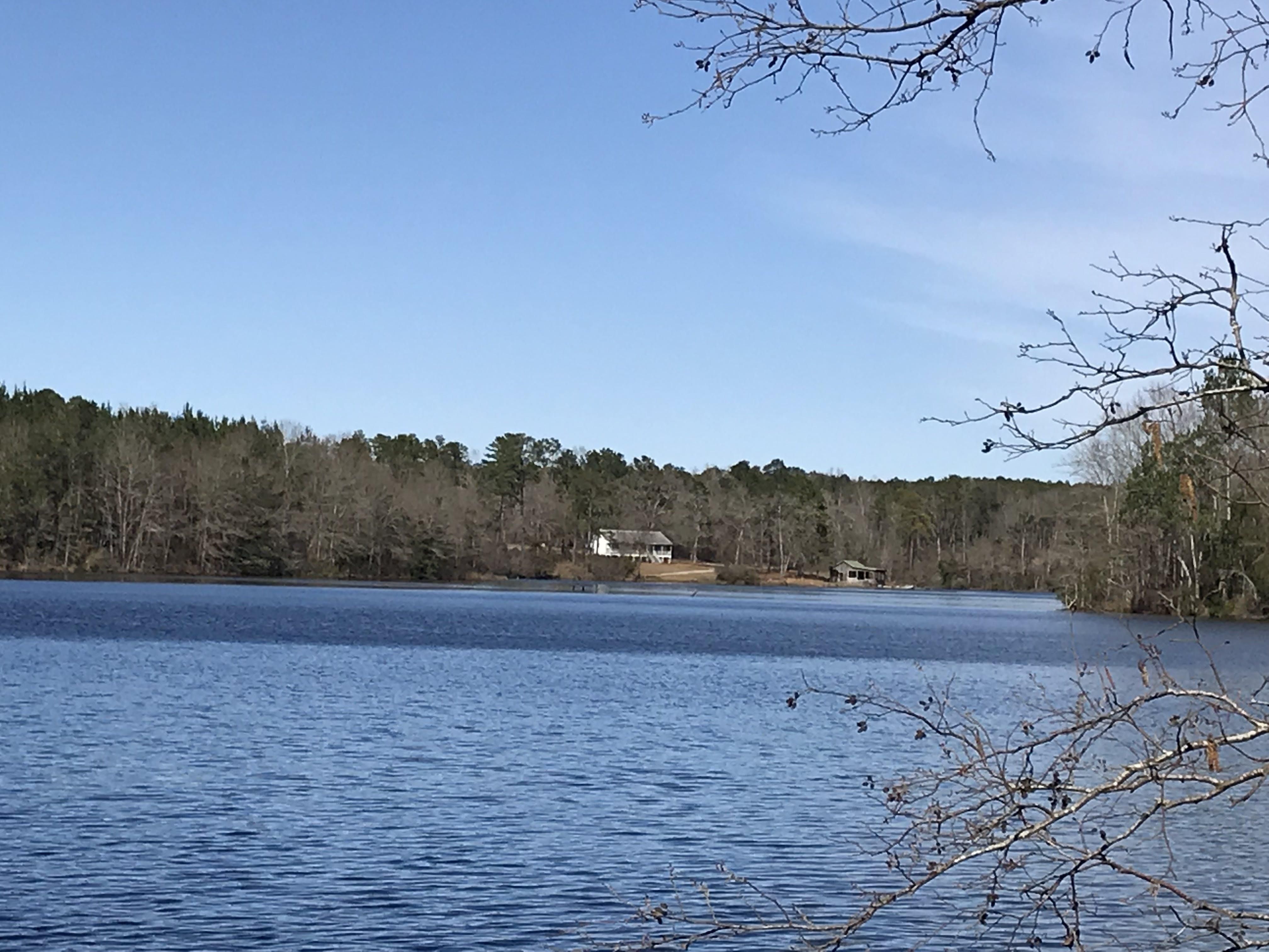 445 acres in Randolph County,