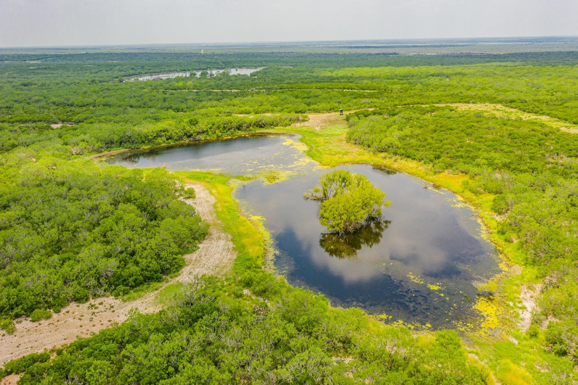 1,571 acres in McMullen County, Texas
