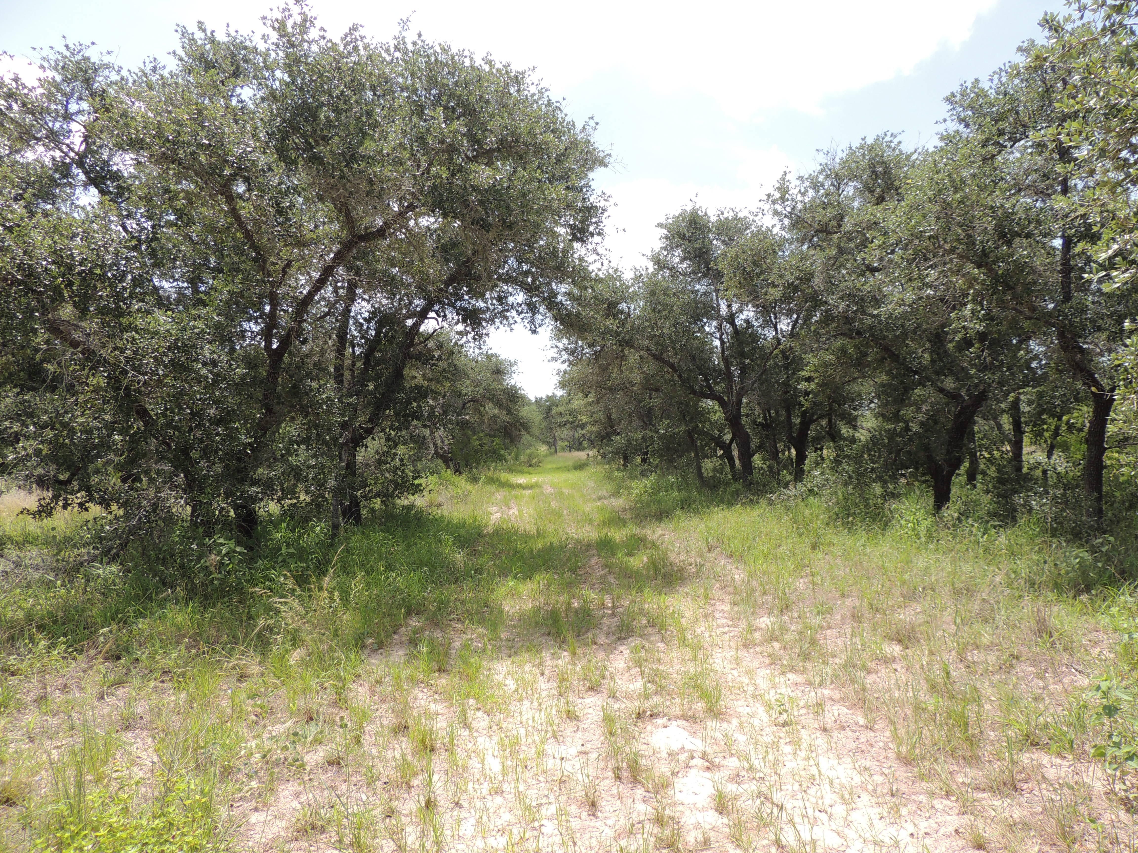 600 acres in Brooks County, Texas