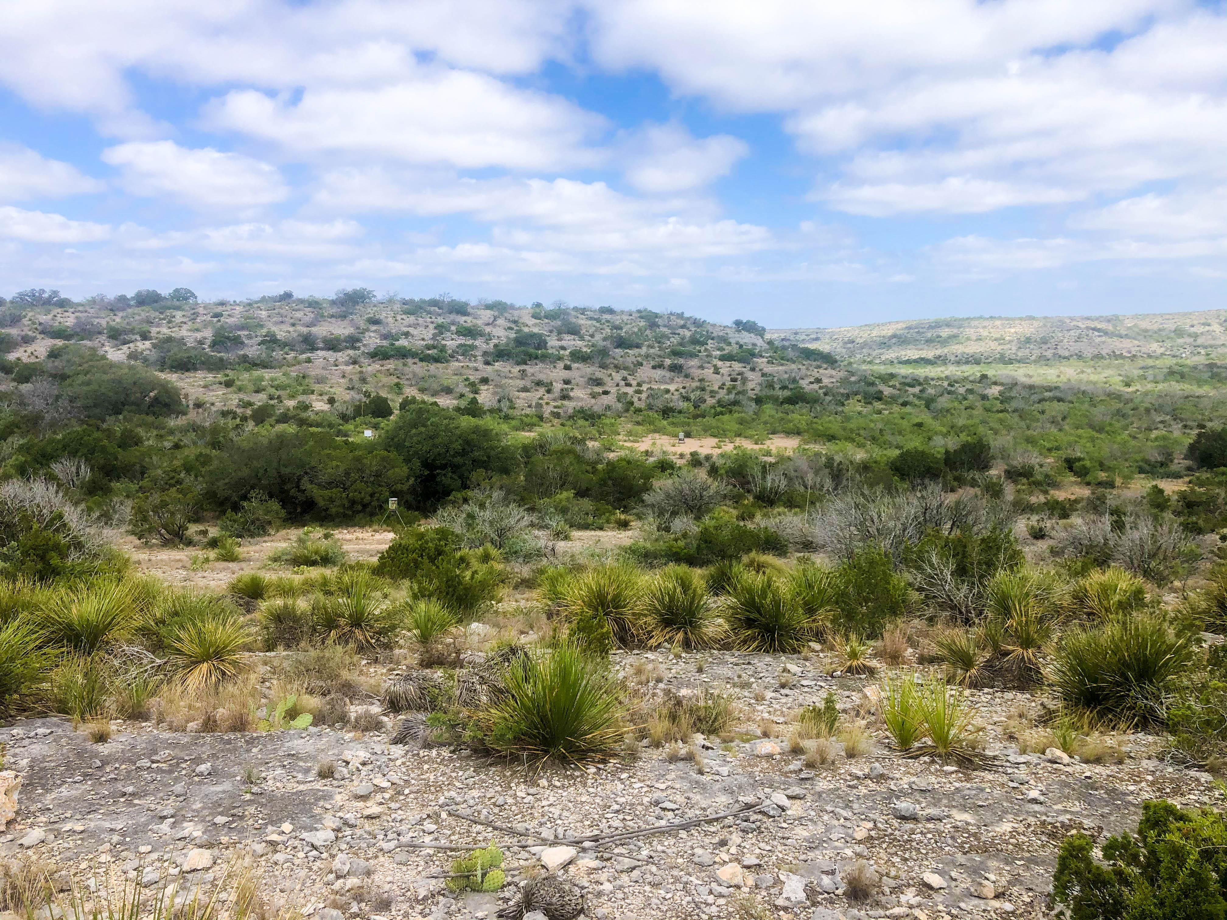 100 acres in Crockett County, Texas