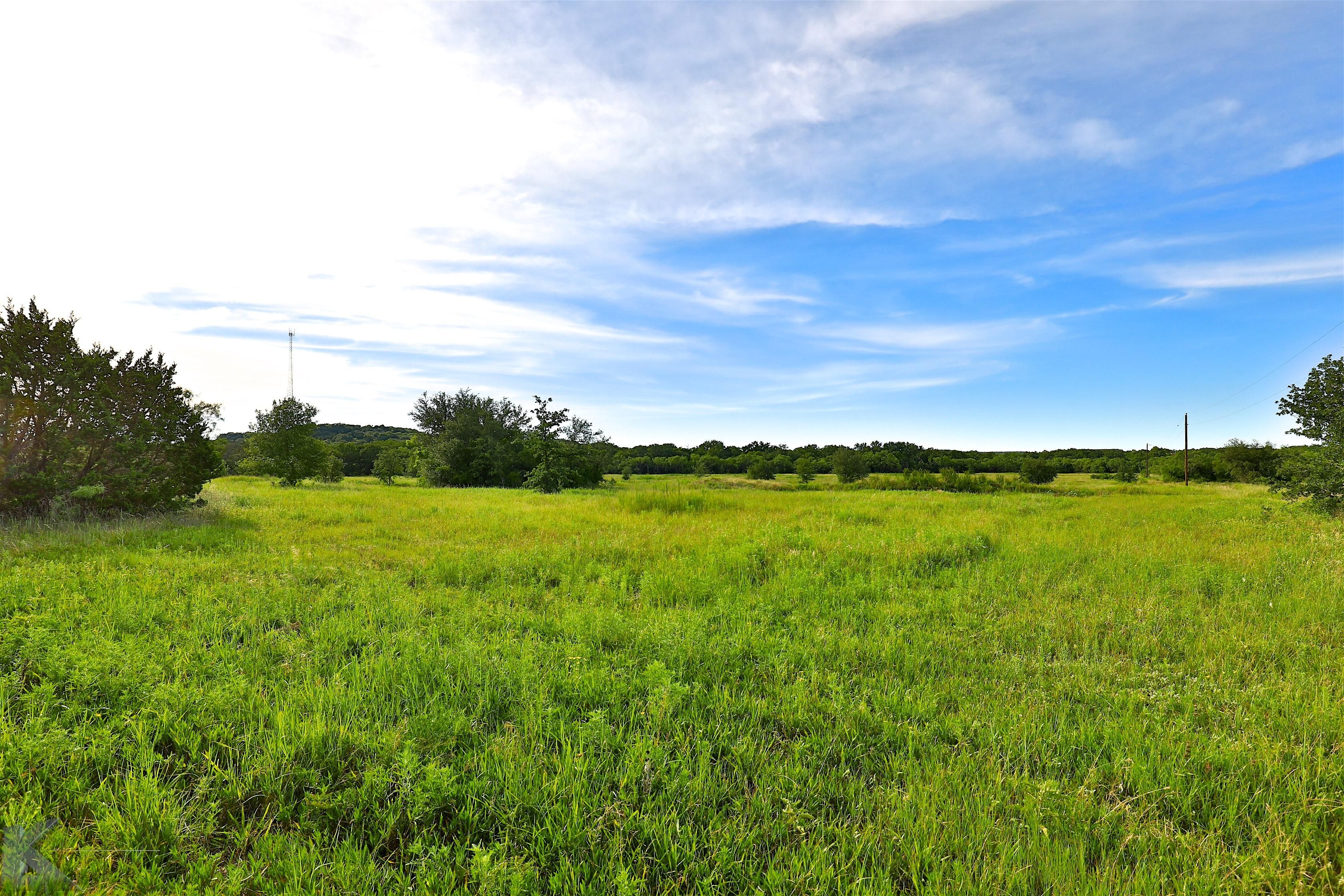 221 acres in Callahan County, Texas