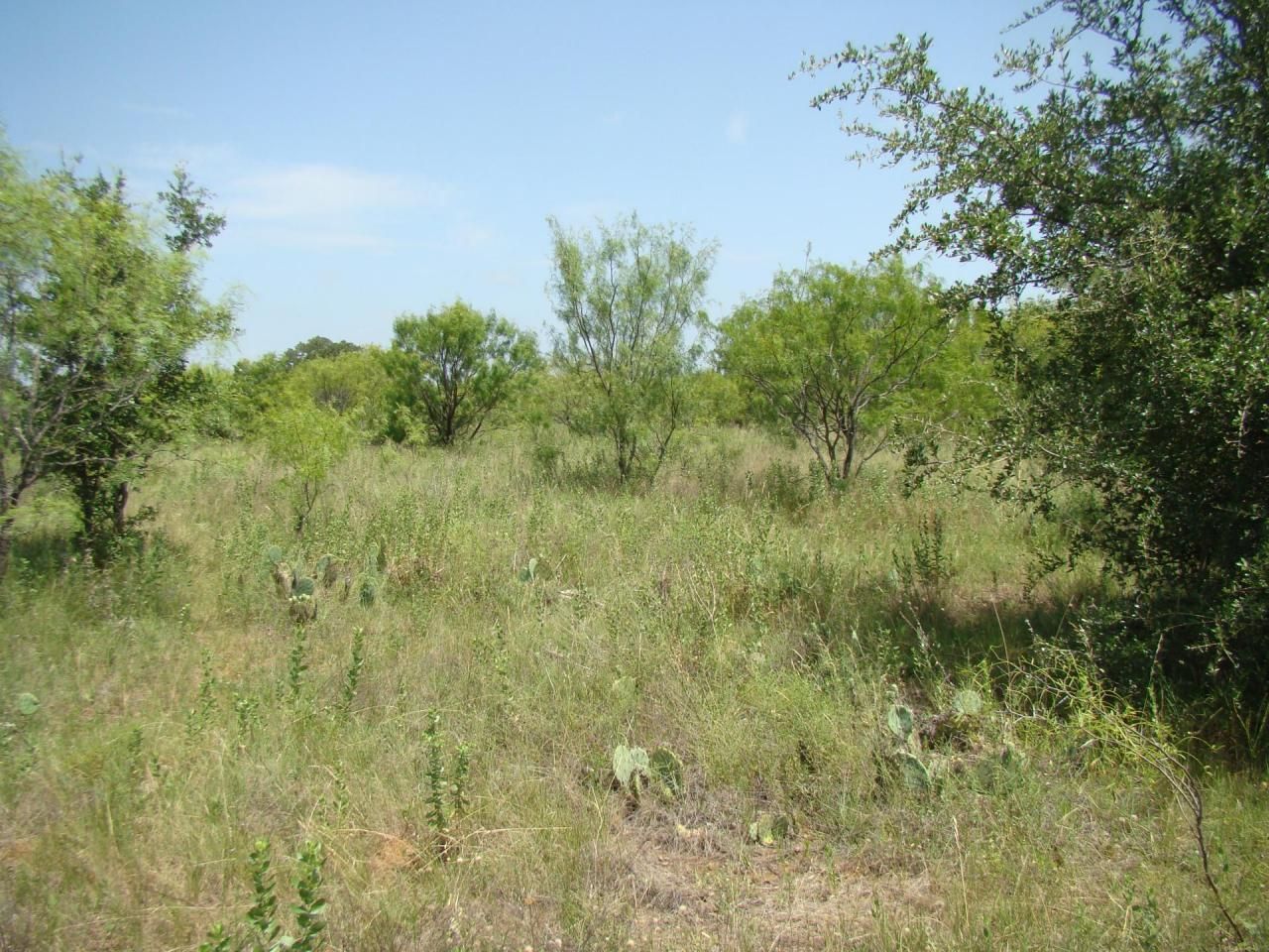25.00 acres in Eastland County, Texas