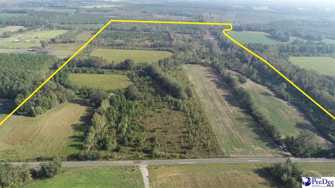 144 acres in Marlboro County, South Carolina