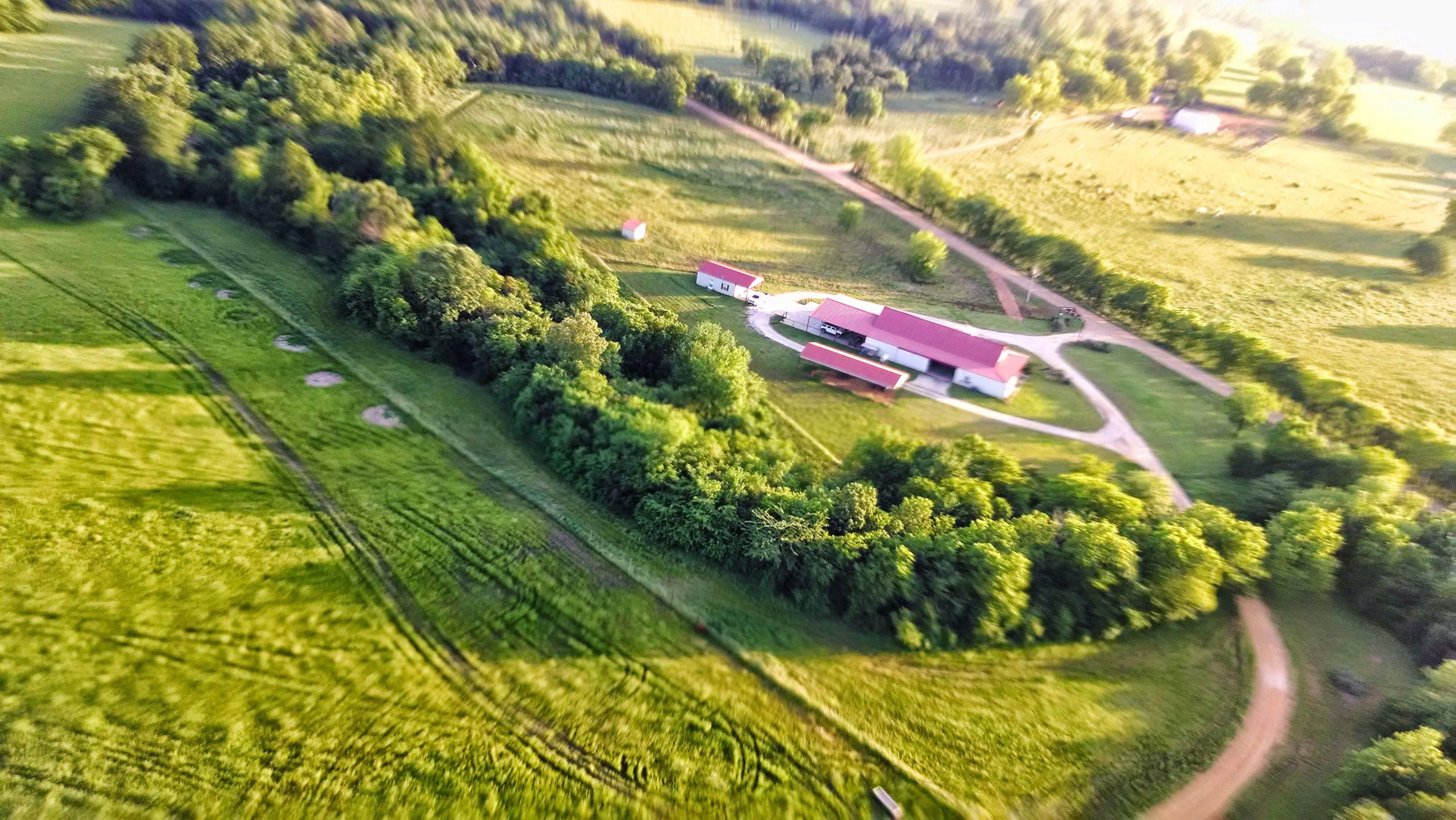 190 acres in Little River County, Arkansas