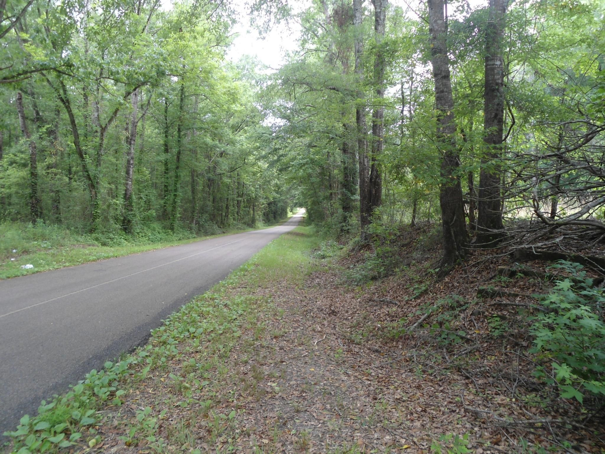 36 acres in Lauderdale County, Mississippi