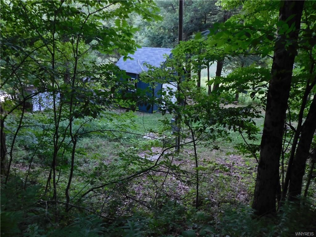 3.2 acres in allegany county, new york