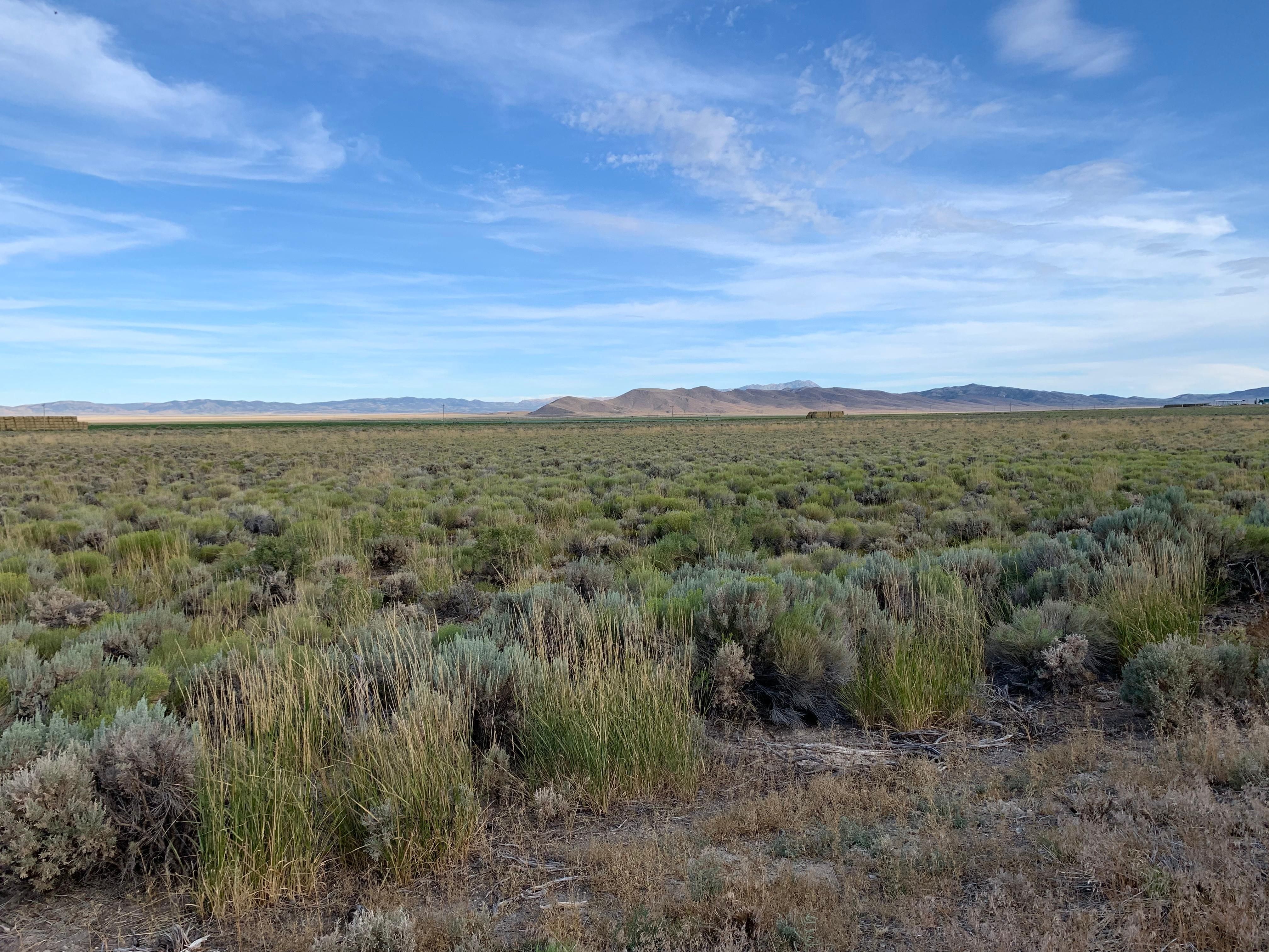 5 Acres In White Pine County Nevada